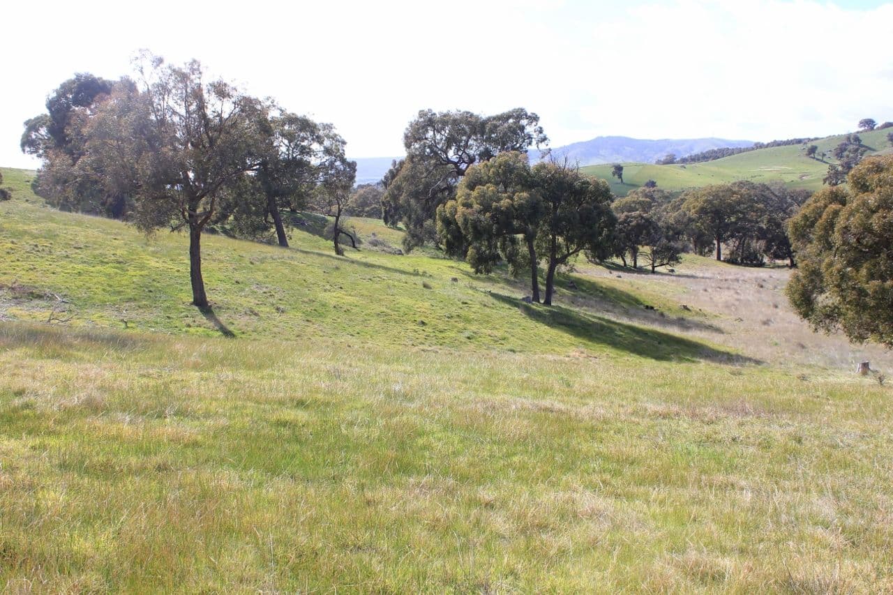 Tooborac VIC 3522, Tooborac - Thumbnail 6