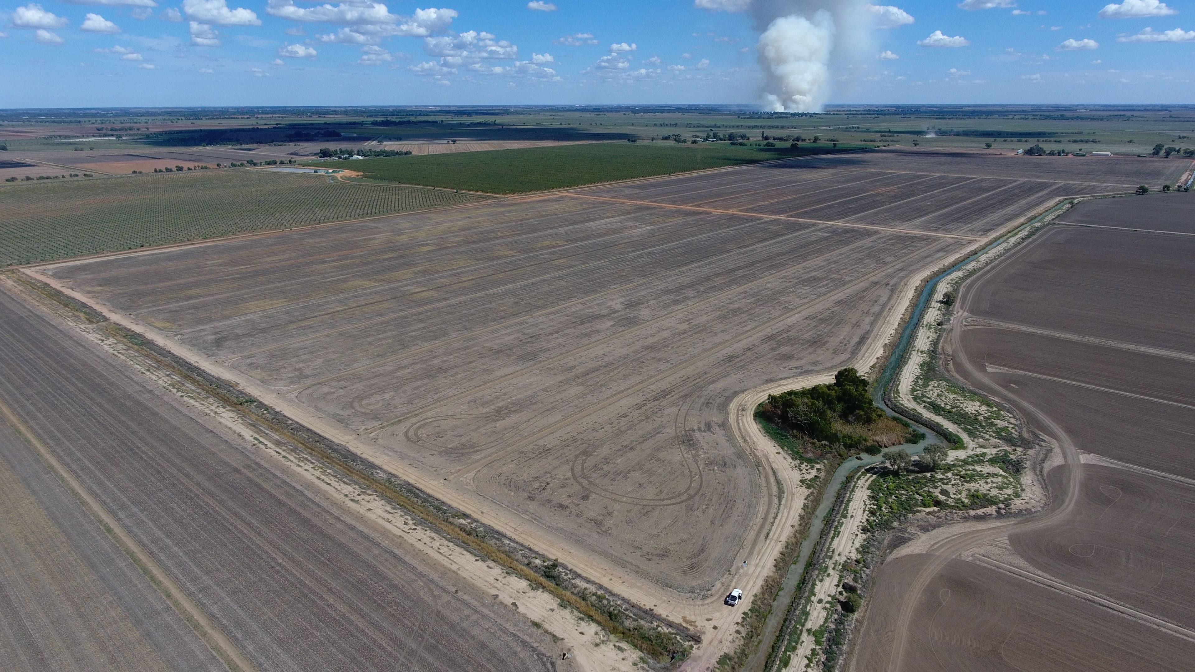 166 Collins Road, Leeton NSW 2705, Leeton - Thumbnail 3