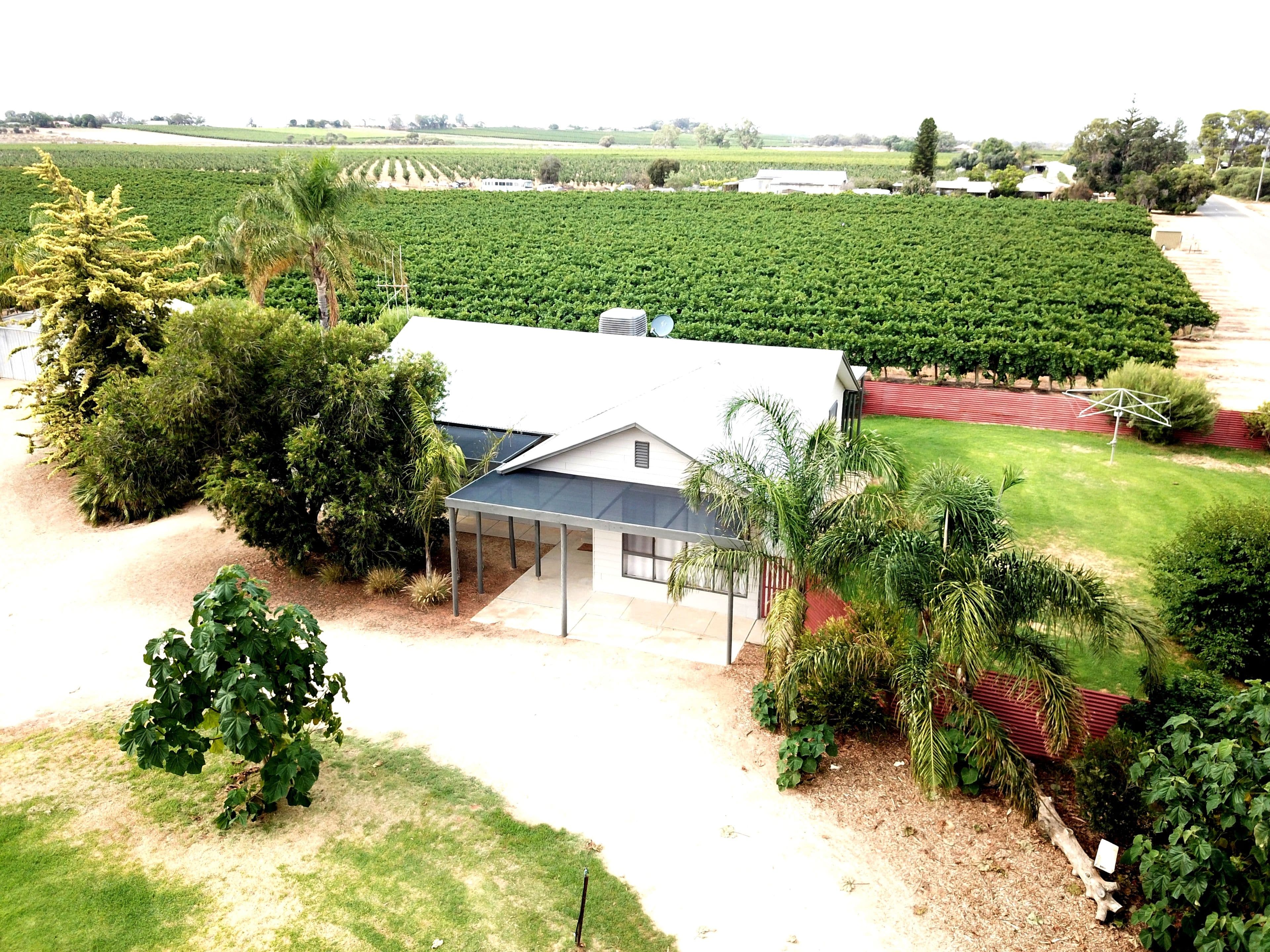 16990 Sturt Highway, Cobdogla SA 5346, Cobdogla - Thumbnail 2