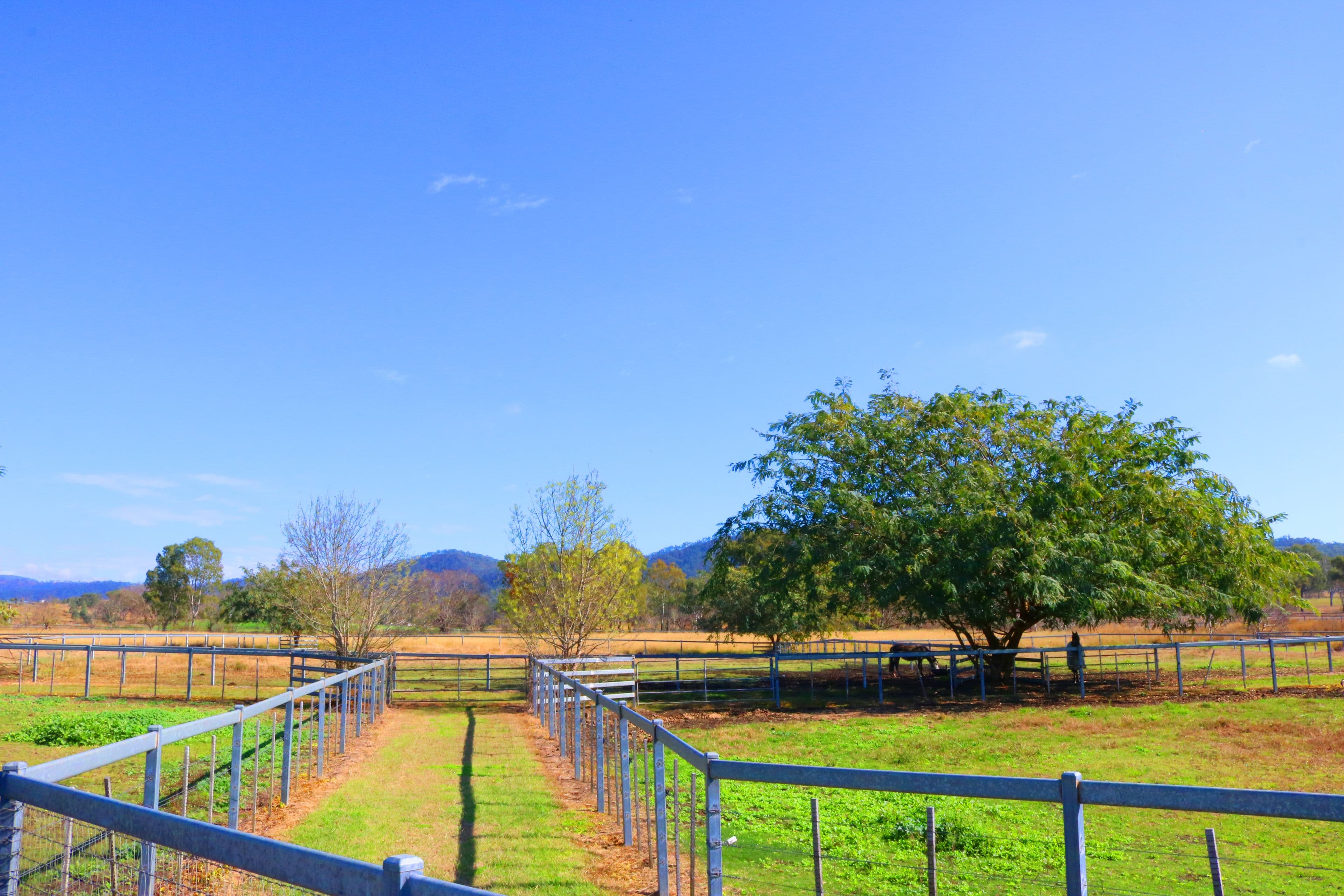 680 Rosevale Road, Rosevale QLD 4340, Rosevale - Thumbnail 5