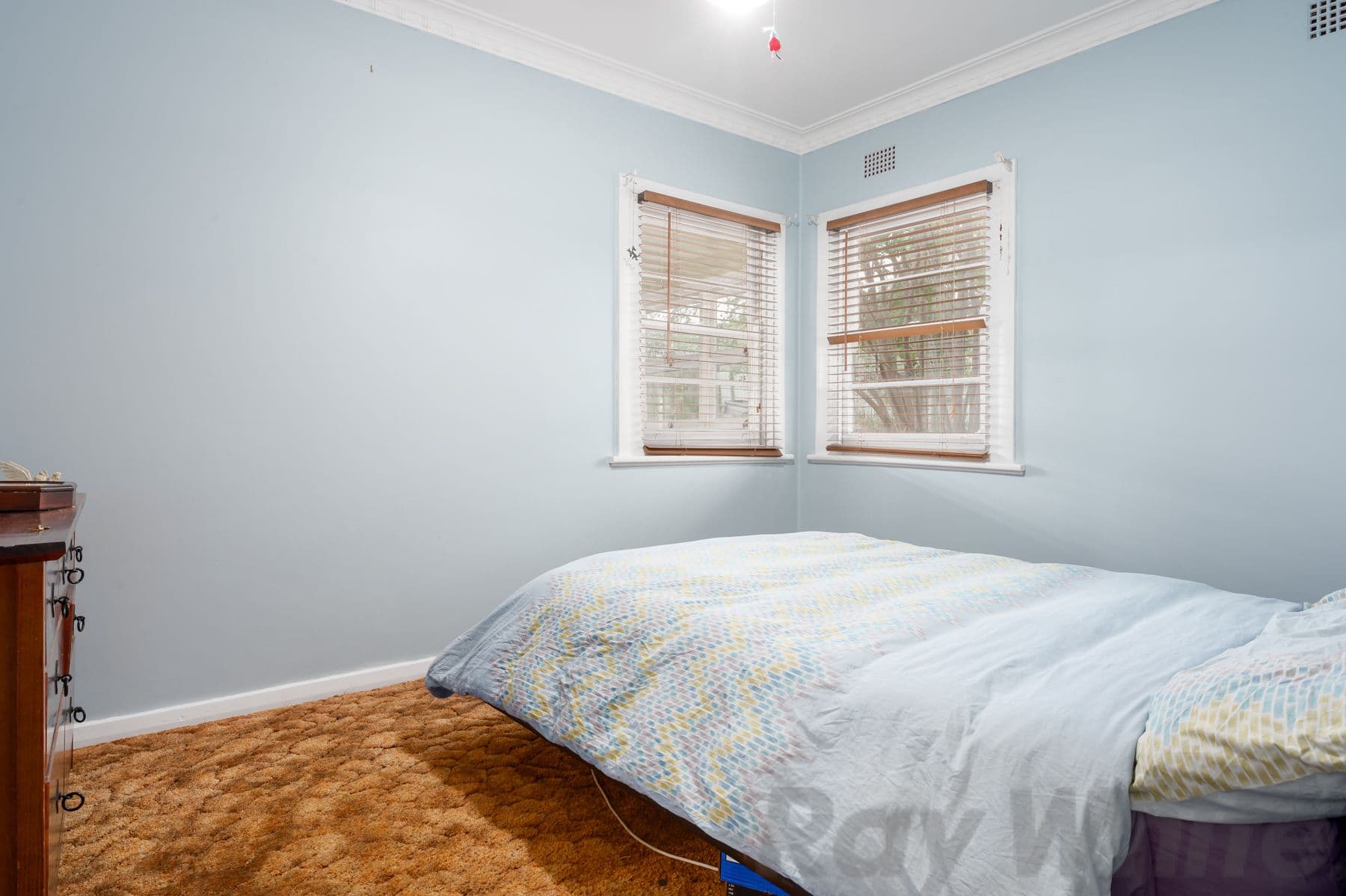 19 Jones Street, Dungog NSW 2420, Dungog - Thumbnail 5
