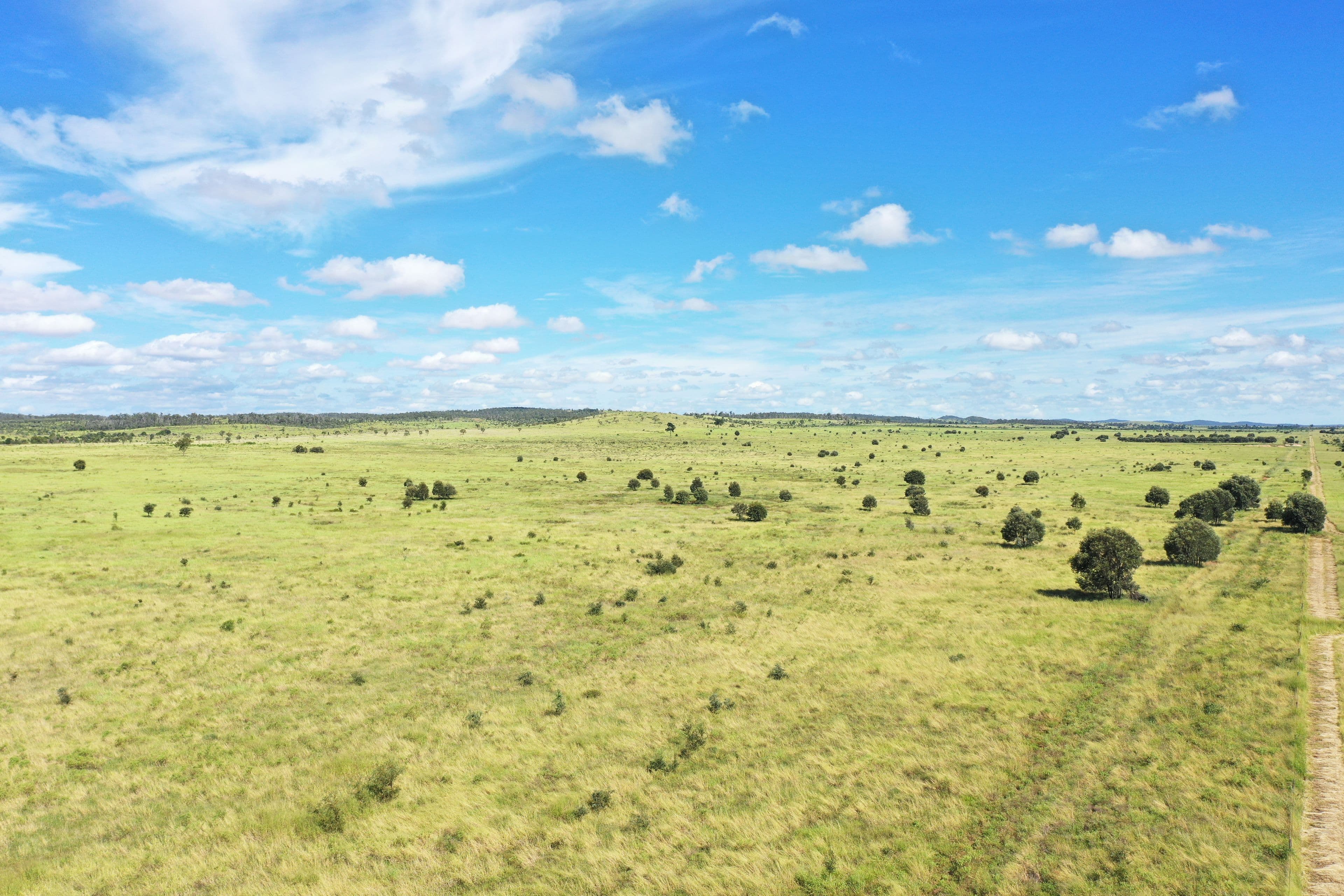 "Melaleuca" 1341 Rookwood Road, Gogango QLD 4702, Gogango - Image 1