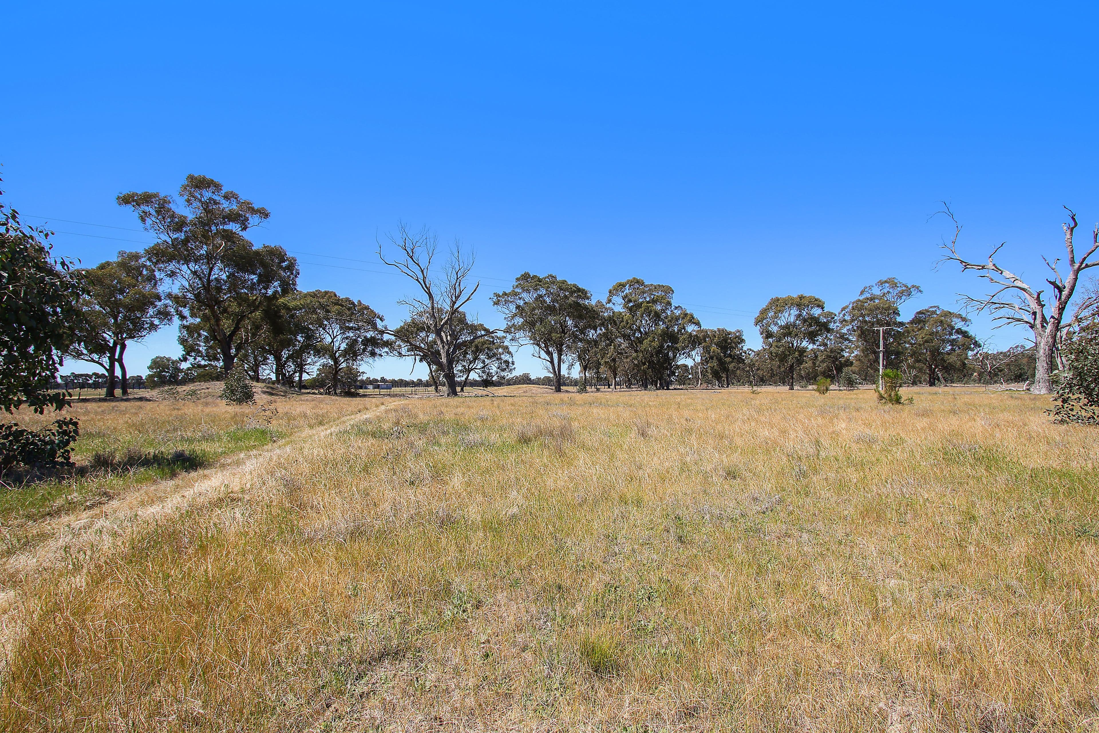 1697 Arcadia Two Chain Road, Euroa VIC 3666, Euroa - Thumbnail 5