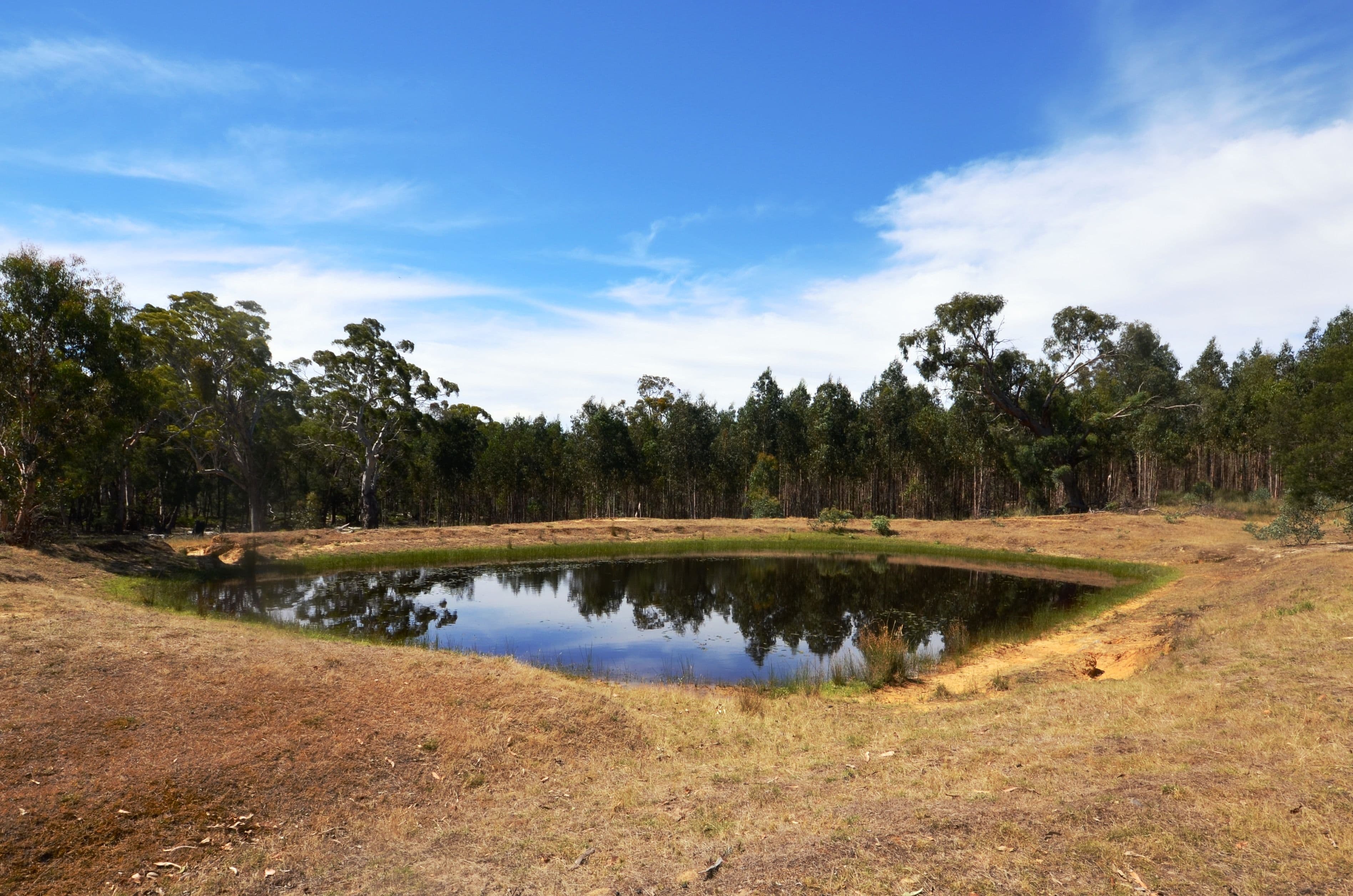 Glenlogie VIC 3469, Glenlogie - Thumbnail 3