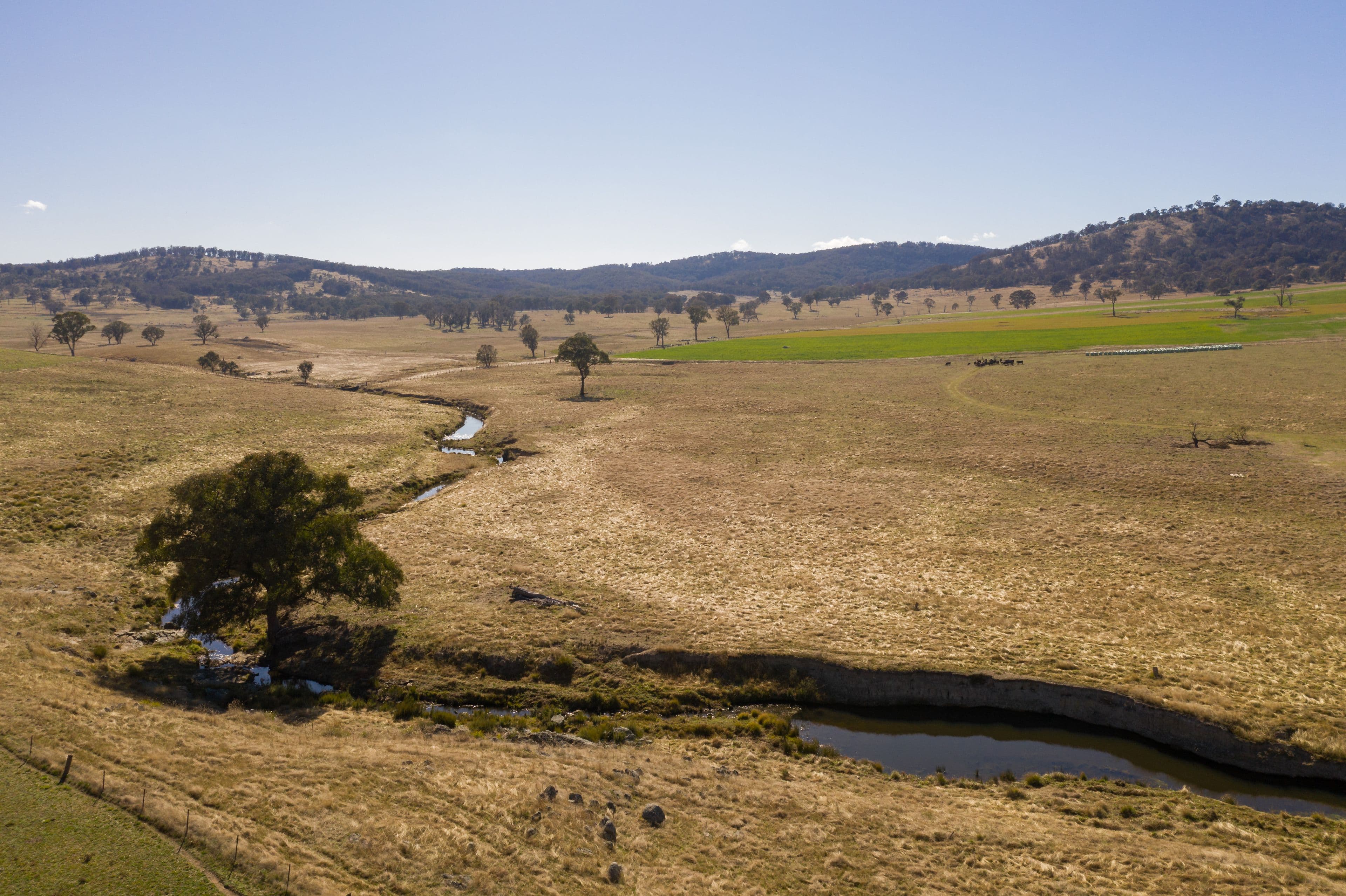 583 Tulloch Road, LYNDHURST NSW 2350, Lyndhurst - Image 1