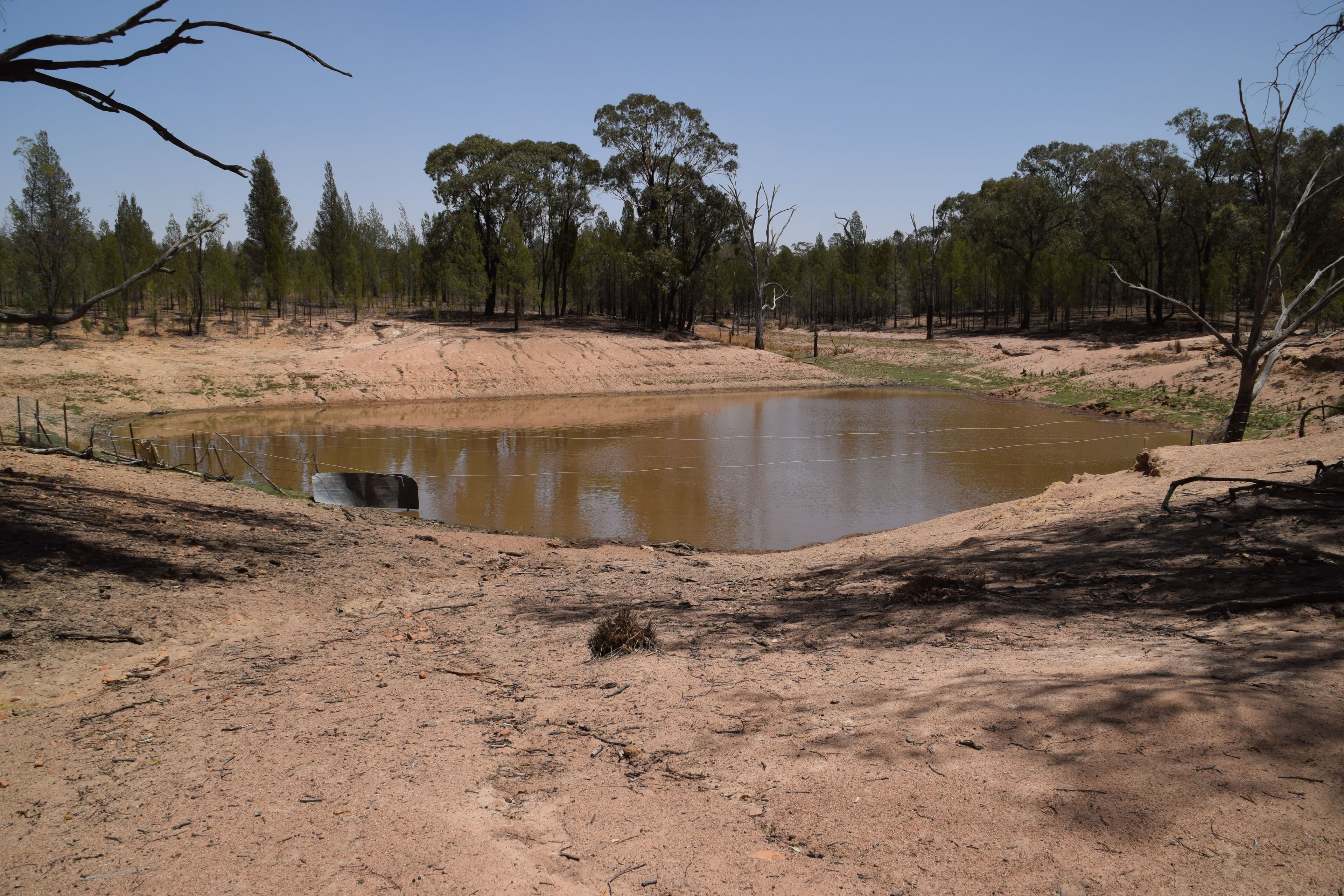 470 Dilladerry Road, Tomingley NSW 2869, Tomingley - Thumbnail 6