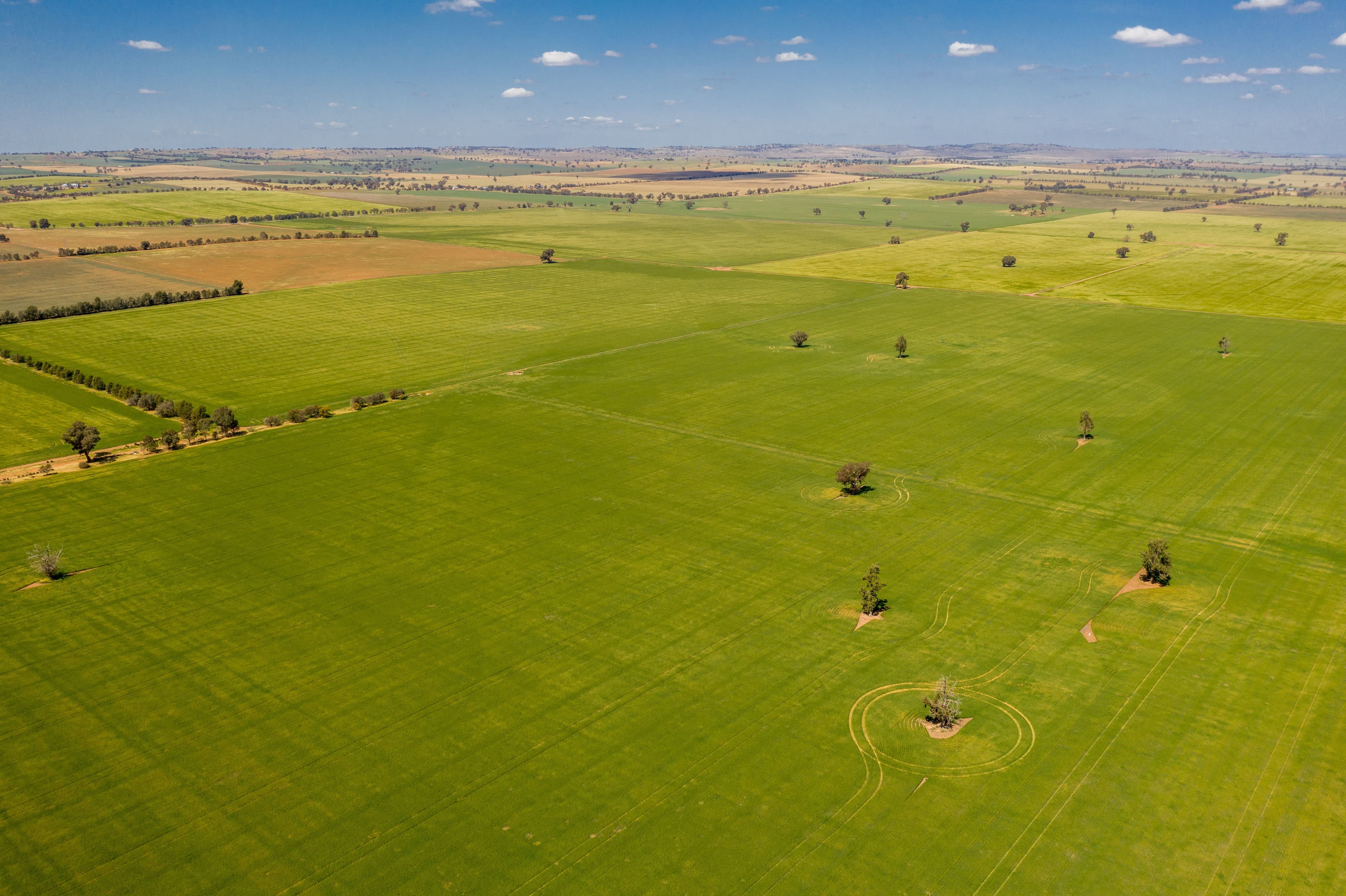 Junee NSW 2663, Junee - Image 1