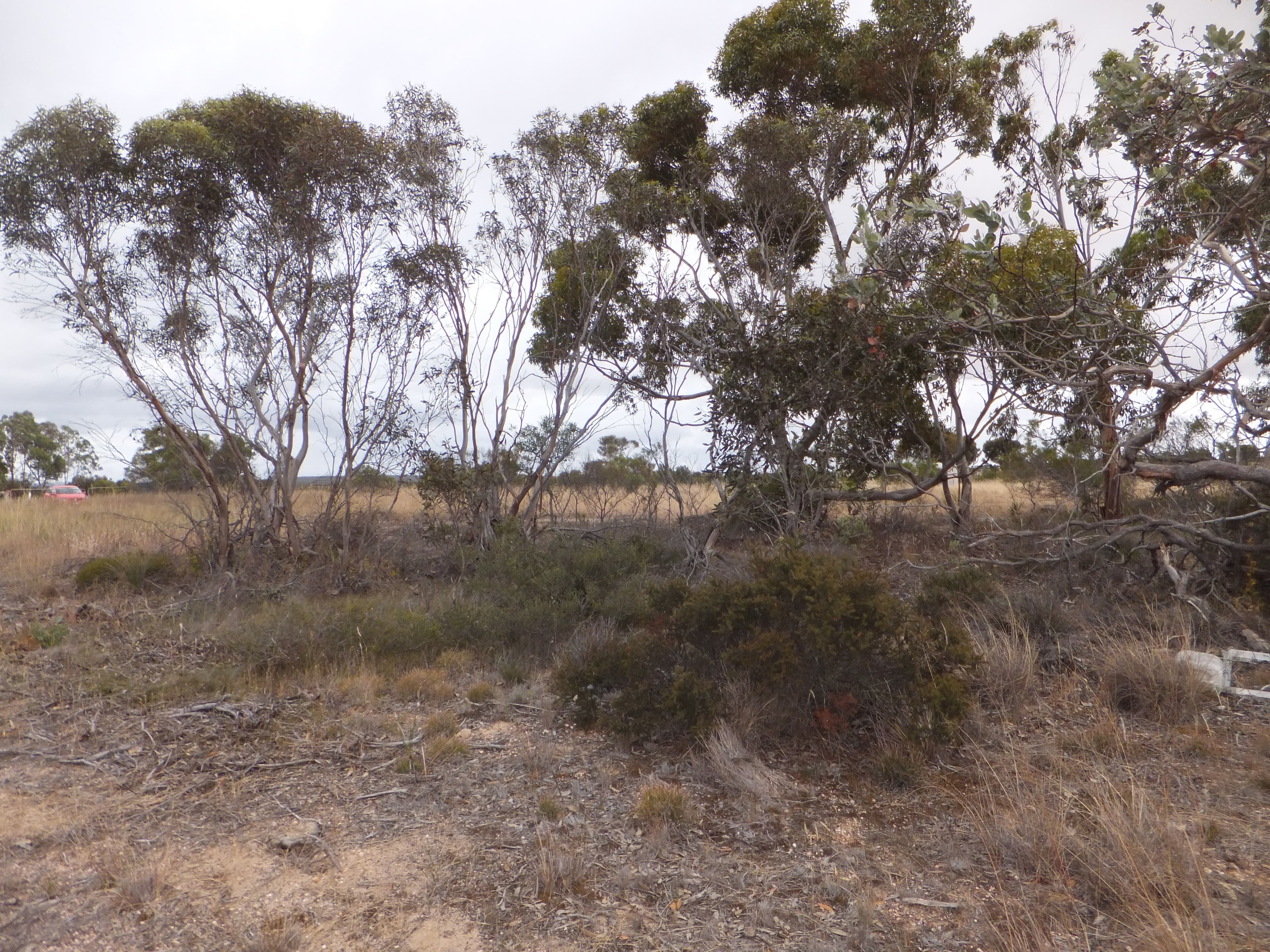 18 Blue Vista, Hopetoun WA 6348, Hopetoun - Thumbnail 5