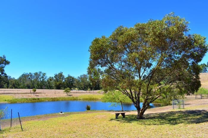 Nannup WA 6275, Nannup - Thumbnail 5