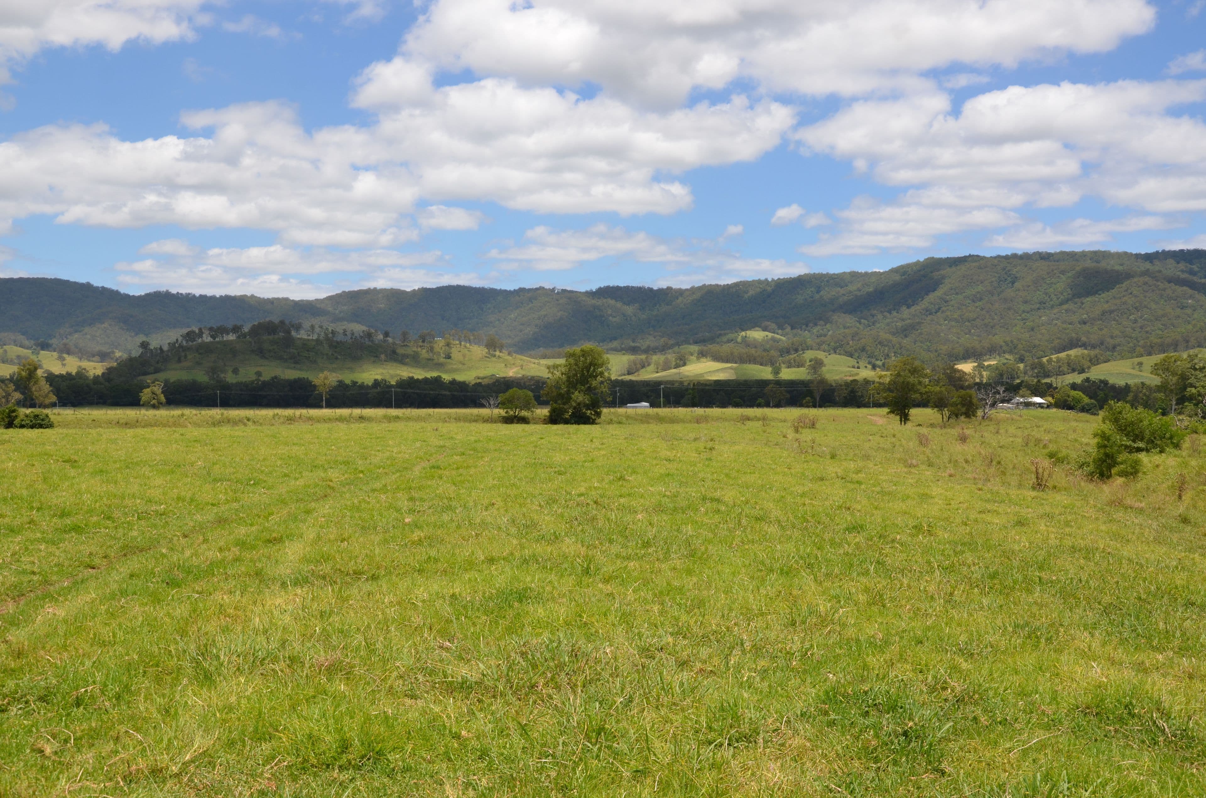 Lot 15 Aherns Road, Conondale QLD 4552, Conondale - Thumbnail 7