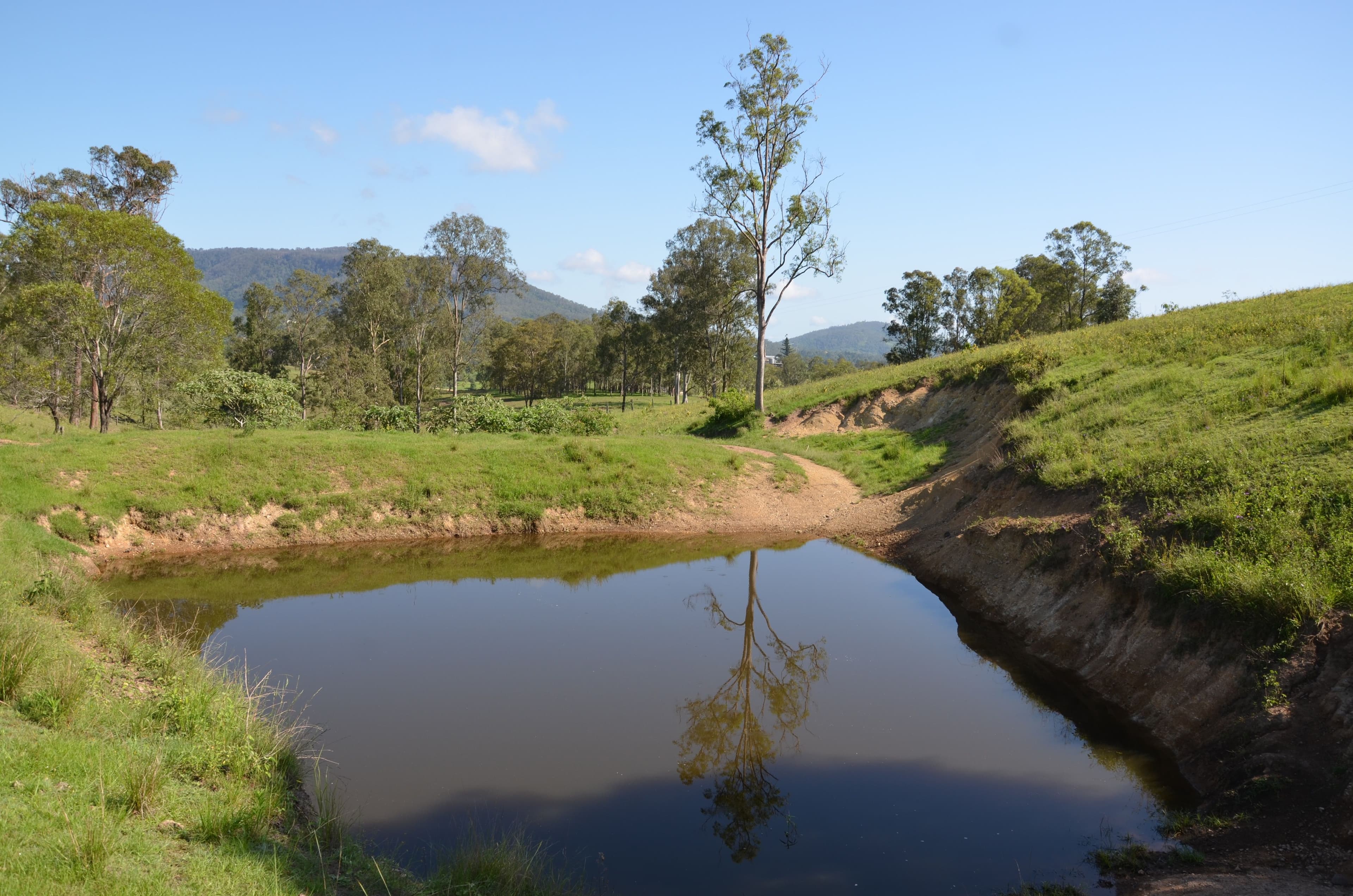 2598 Eumundi Kenilworth Road, Kenilworth QLD 4574, Kenilworth - Thumbnail 6