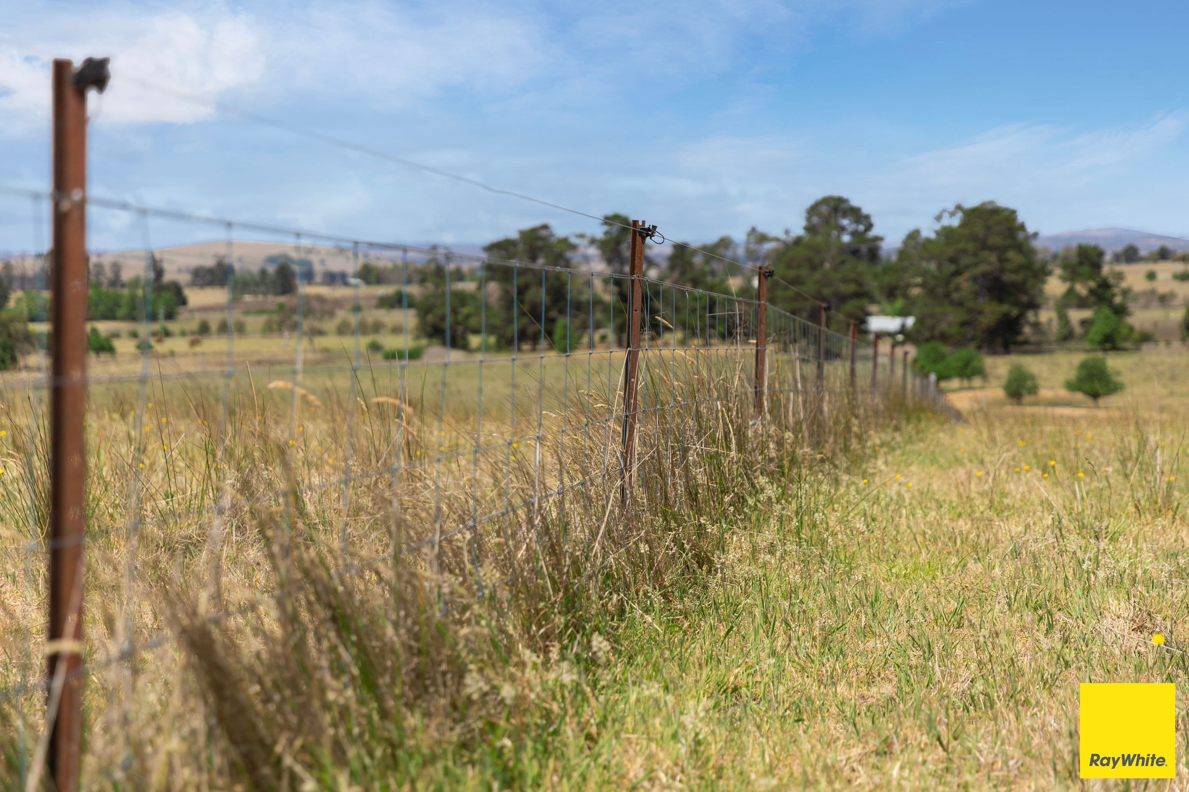 165 Traceys Road, Kentucky NSW 2354, Kentucky - Thumbnail 6