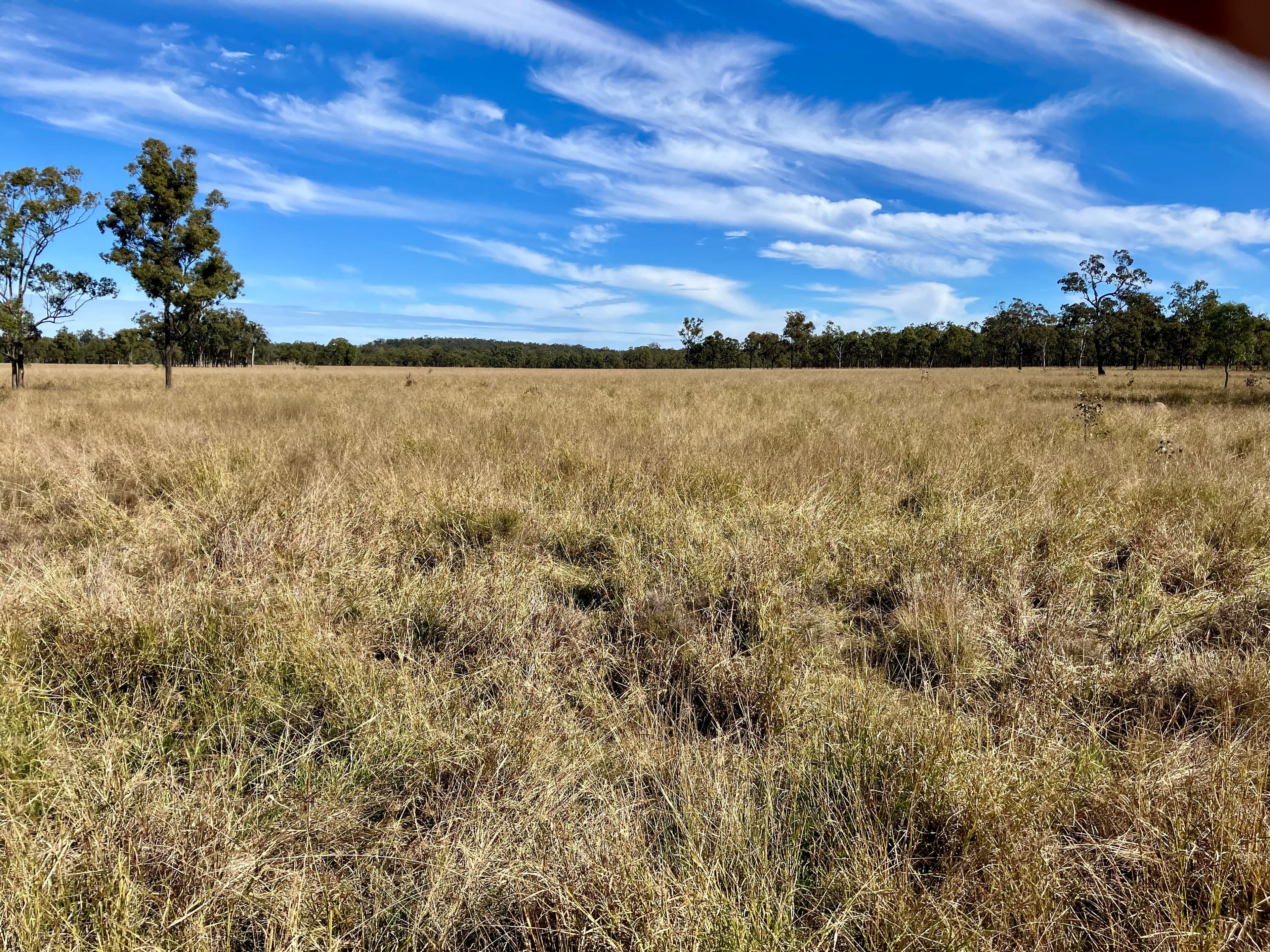 944 Cecil Plains Moonie Road, Cecil Plains QLD 4407, Cecil Plains - Thumbnail 7