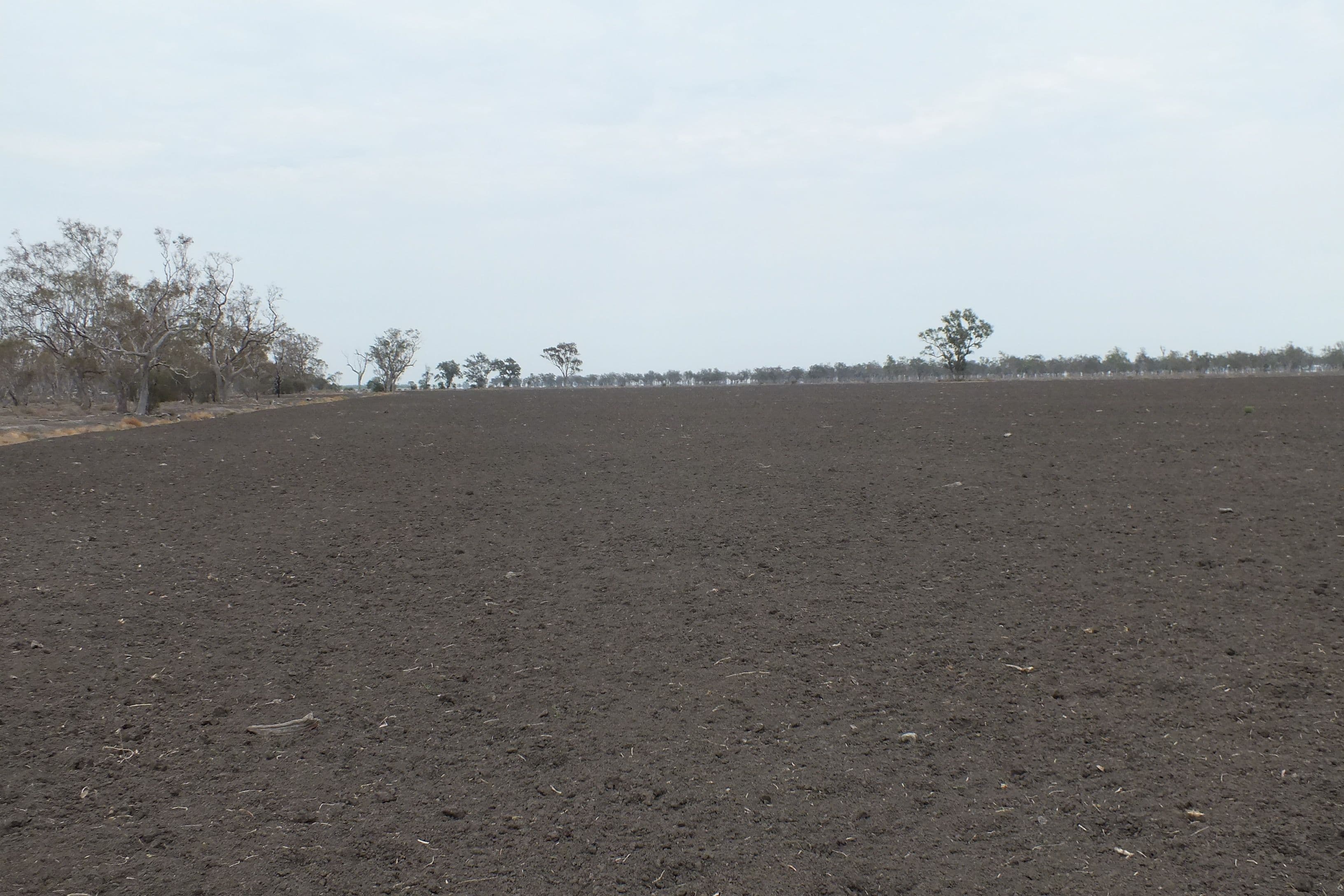 300 Milroy Road, Tulloona NSW 2400, Tulloona - Thumbnail 5