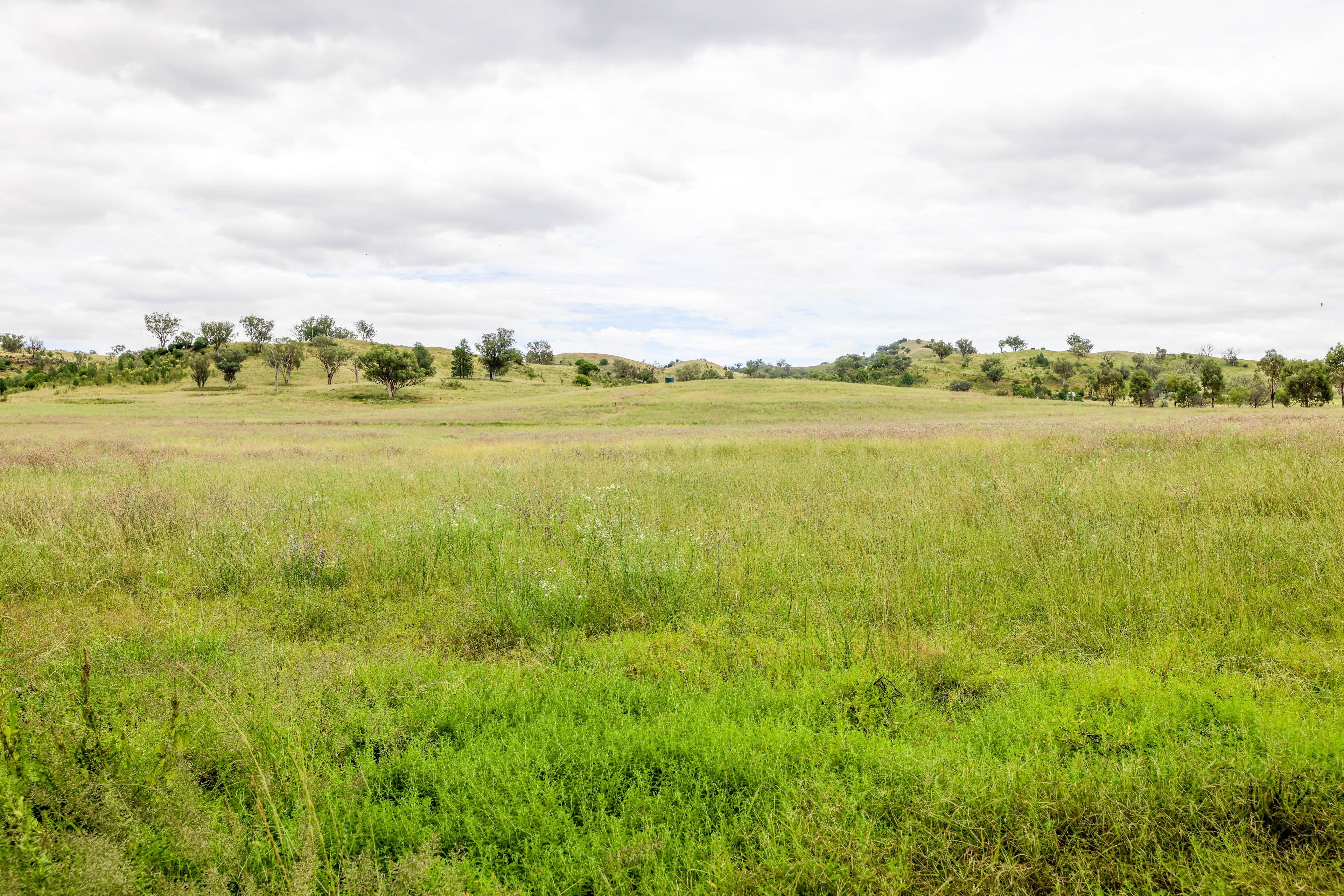 87 Wisemans Arm Road, Tamworth NSW 2340, Tamworth - Image 1