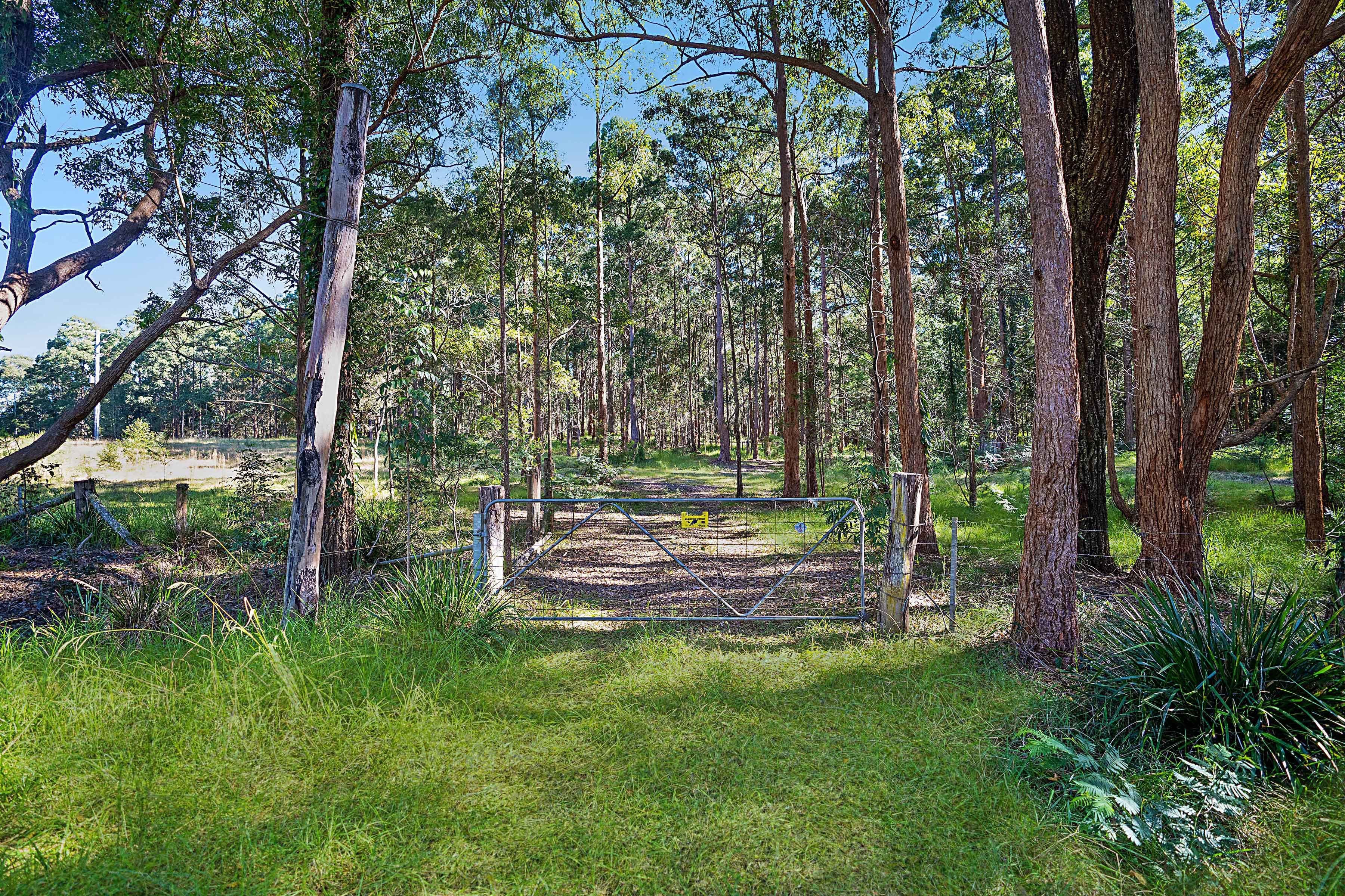 658 Mandalong Road, Mandalong NSW 2264, Mandalong - Thumbnail 2