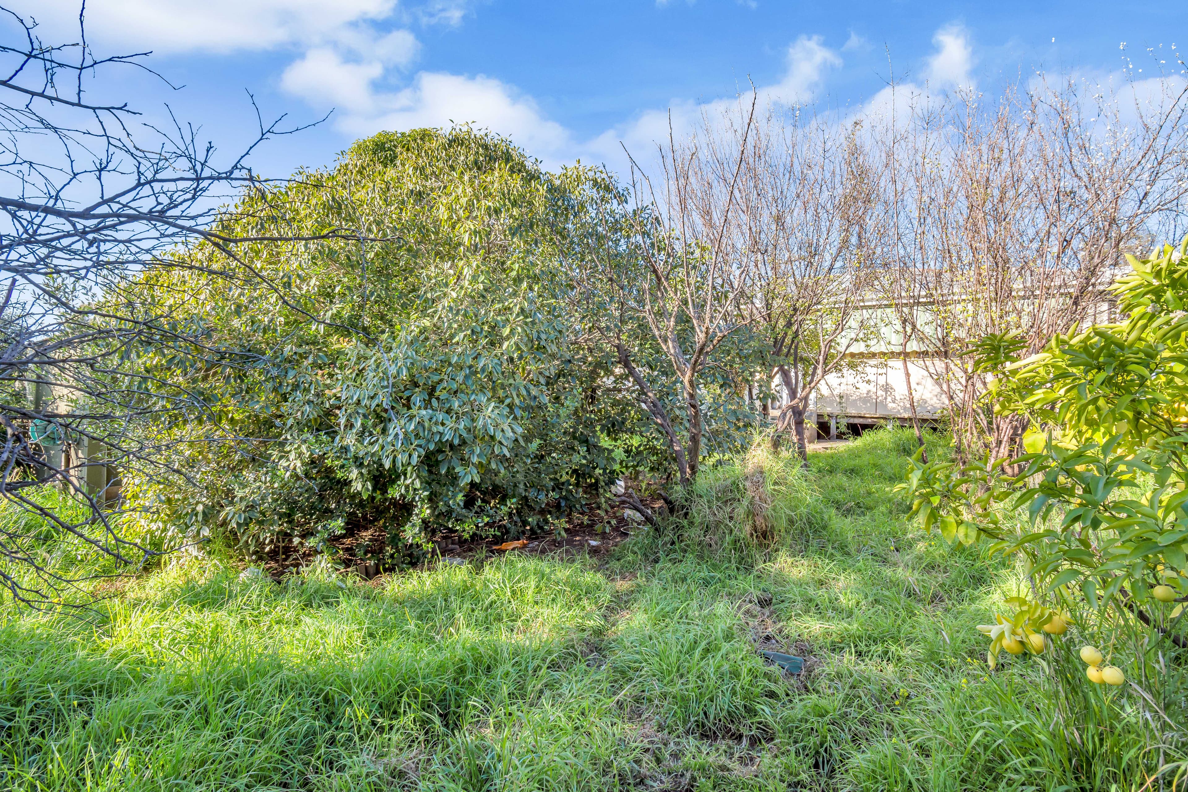 13 Ridgeway Avenue, Enfield SA 5085, Enfield - Thumbnail 3