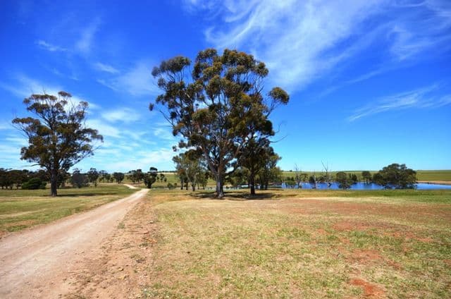"Holm Hill" Holm Hill Road, Manoora SA 5414, Manoora - Thumbnail 4