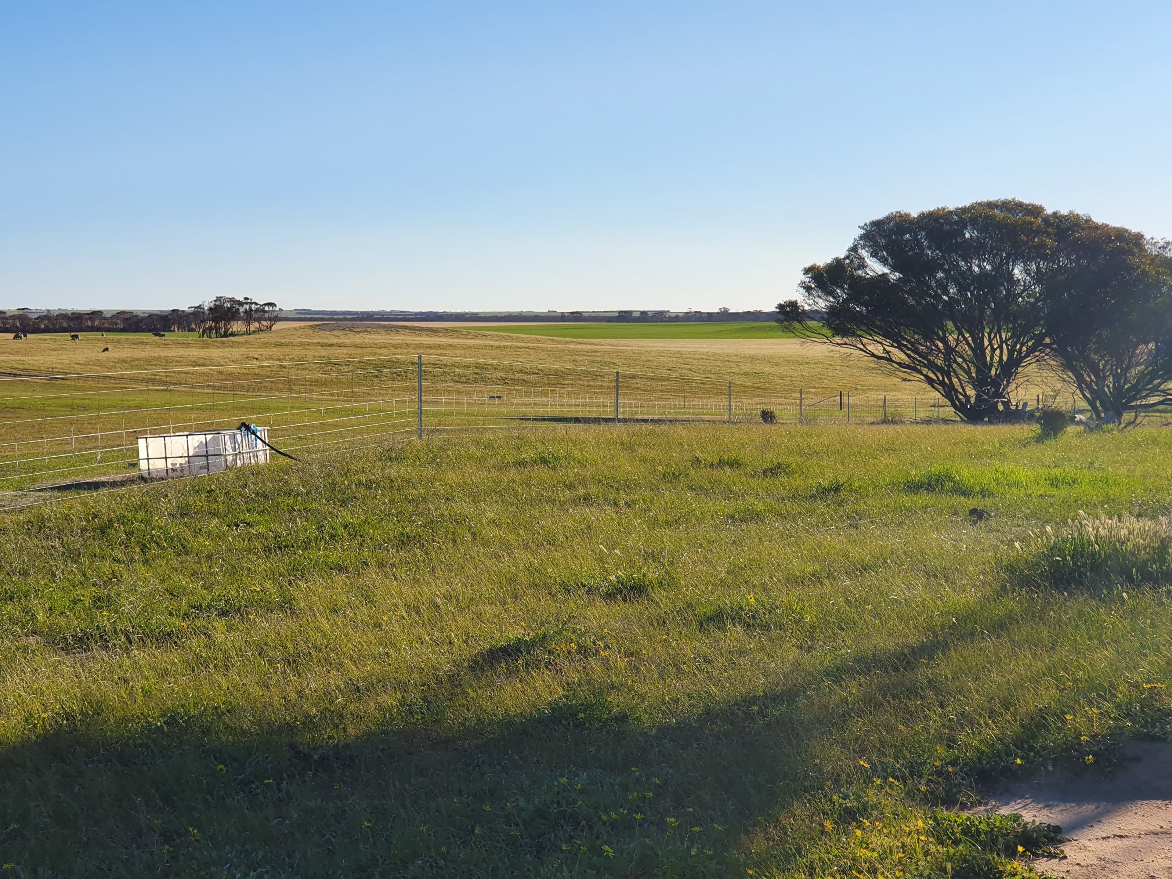 2405 North Needilup Road, Pingrup WA 6343, Pingrup - Thumbnail 8