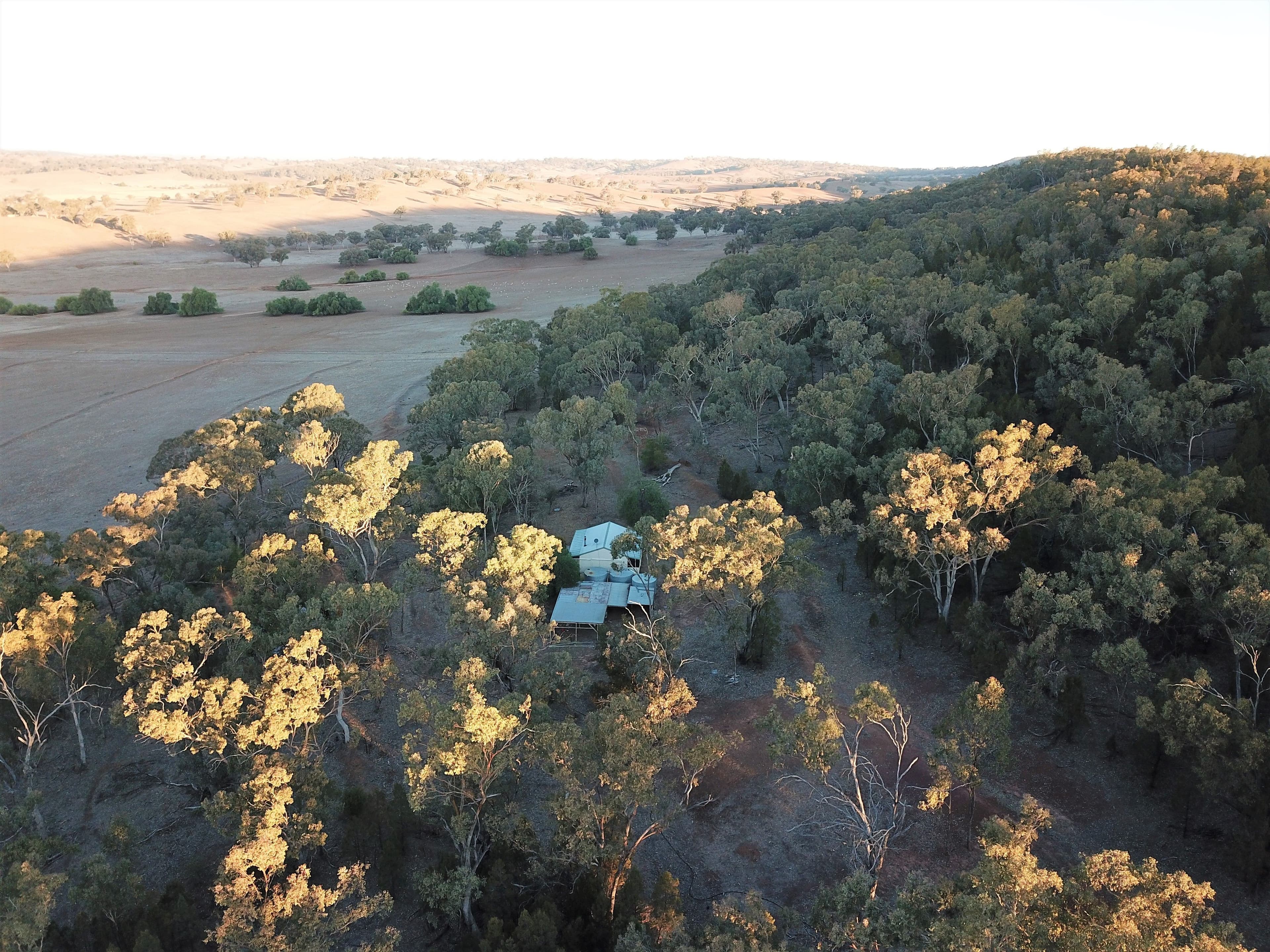 'Fox Hill' 573 Blathery Creek Road, Neurea NSW 2820, Neurea - Thumbnail 3