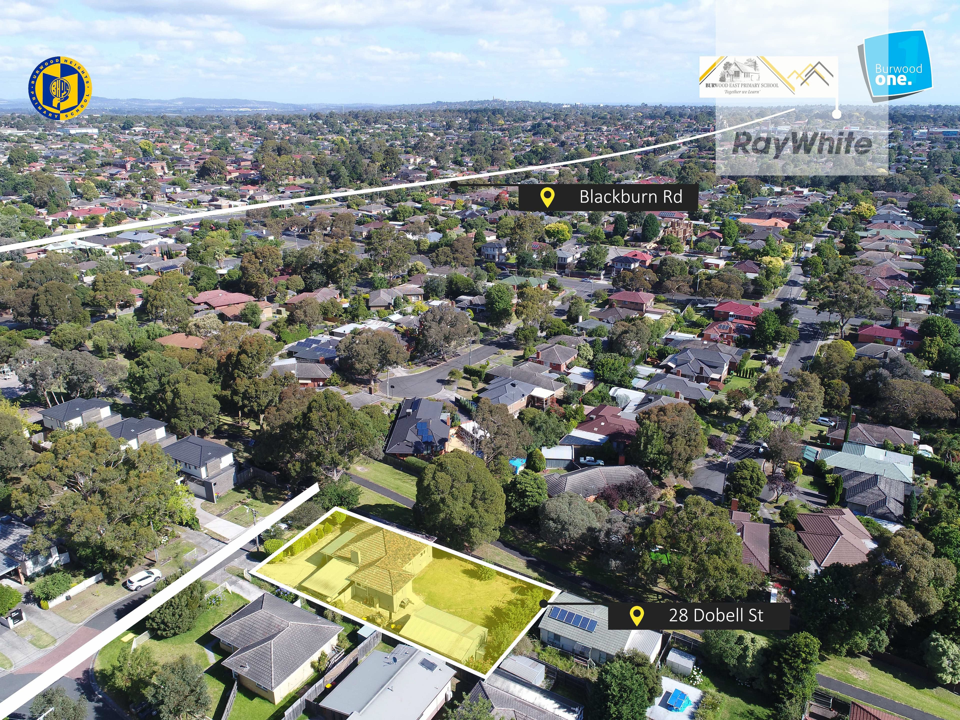 28 Dobell Street, Blackburn South VIC 3130, Blackburn South - Thumbnail 8