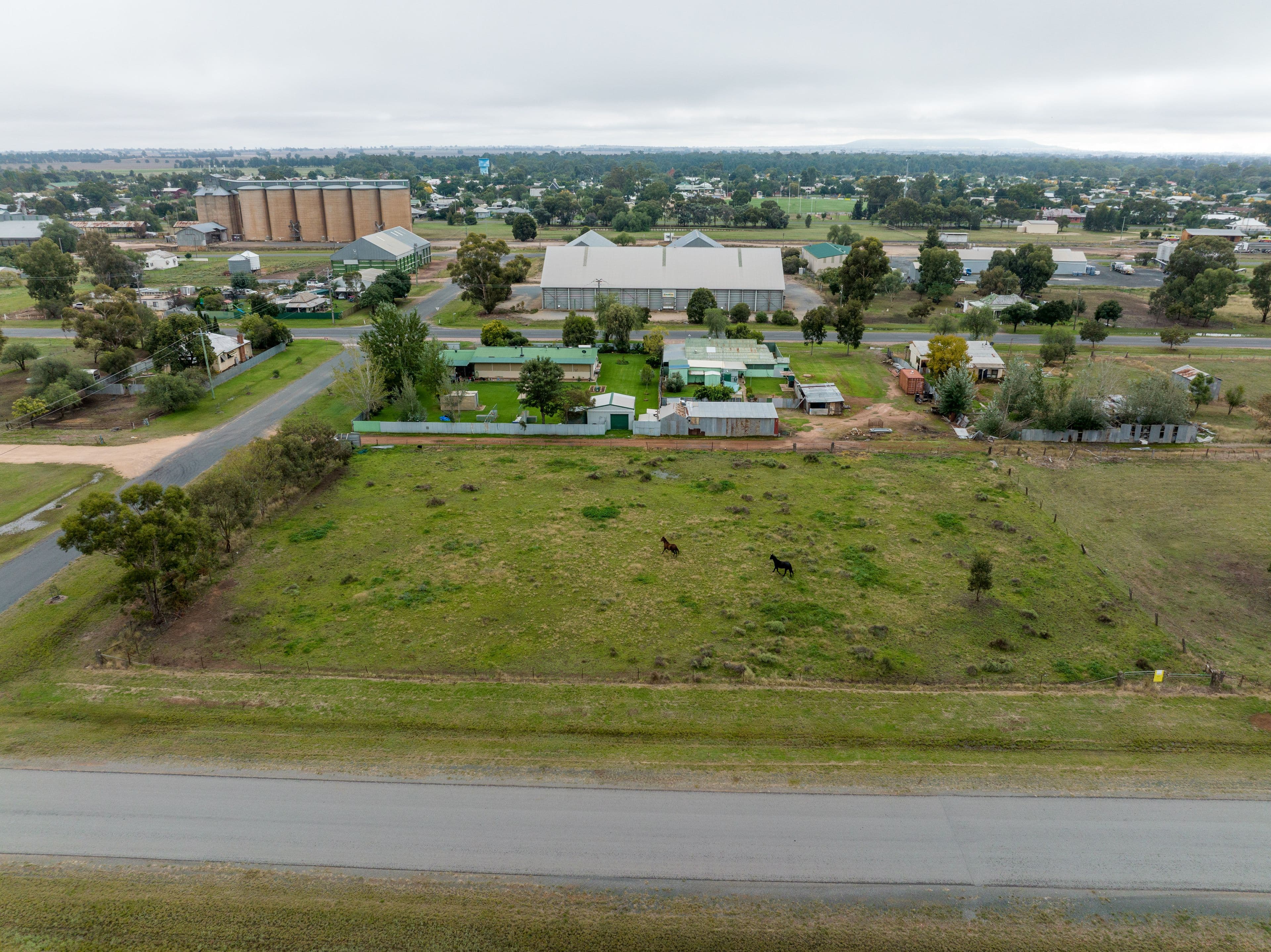 49 Federal Street, Lockhart NSW 2656, Lockhart - Thumbnail 2