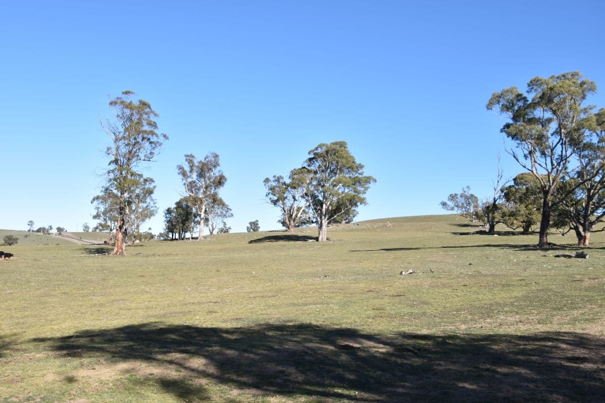 6466 Abercrombie Road, Oberon NSW 2787, Oberon - Thumbnail 5