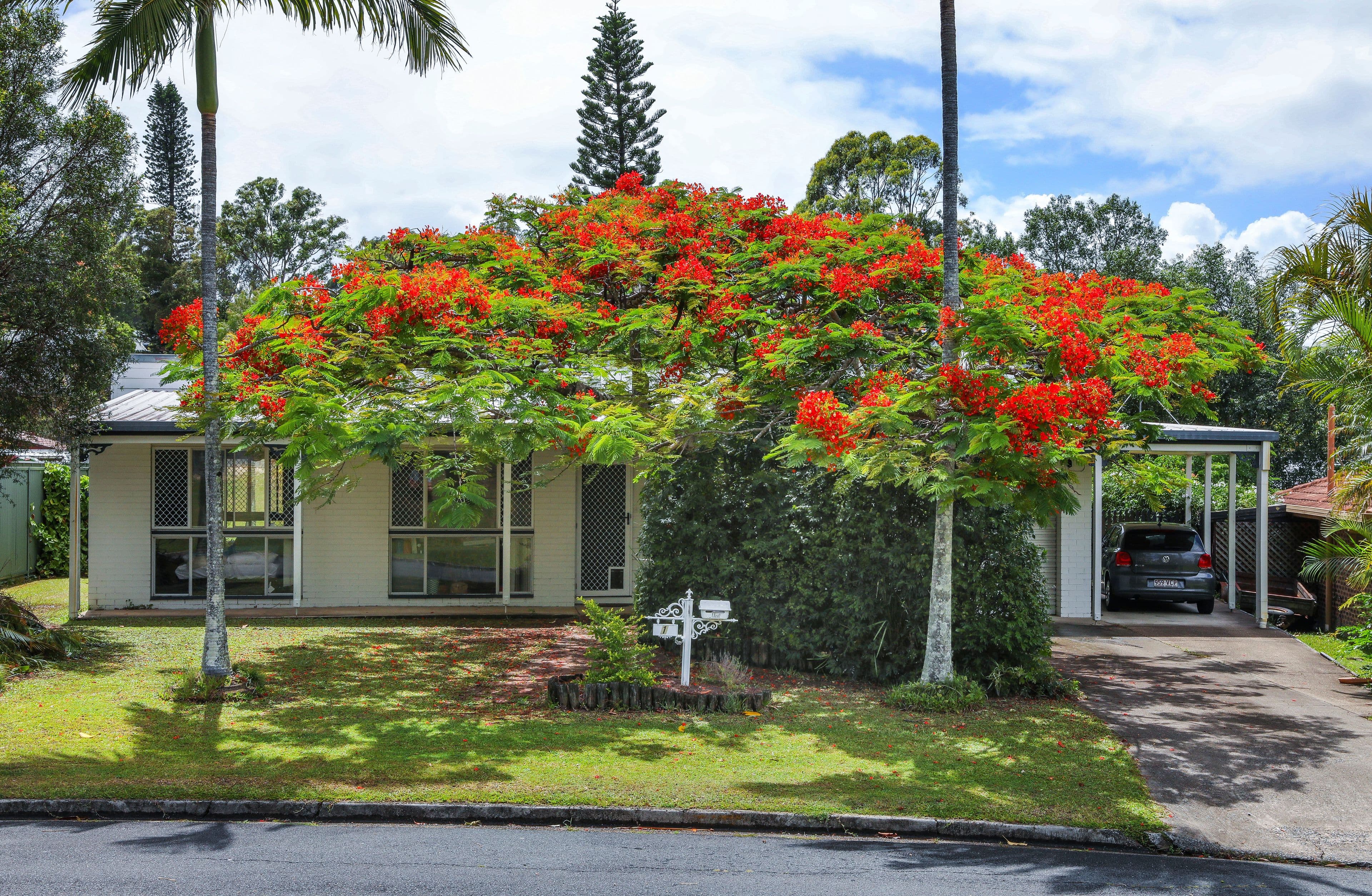 1 Cutana Court, Ashmore QLD 4214, Ashmore - Thumbnail 8