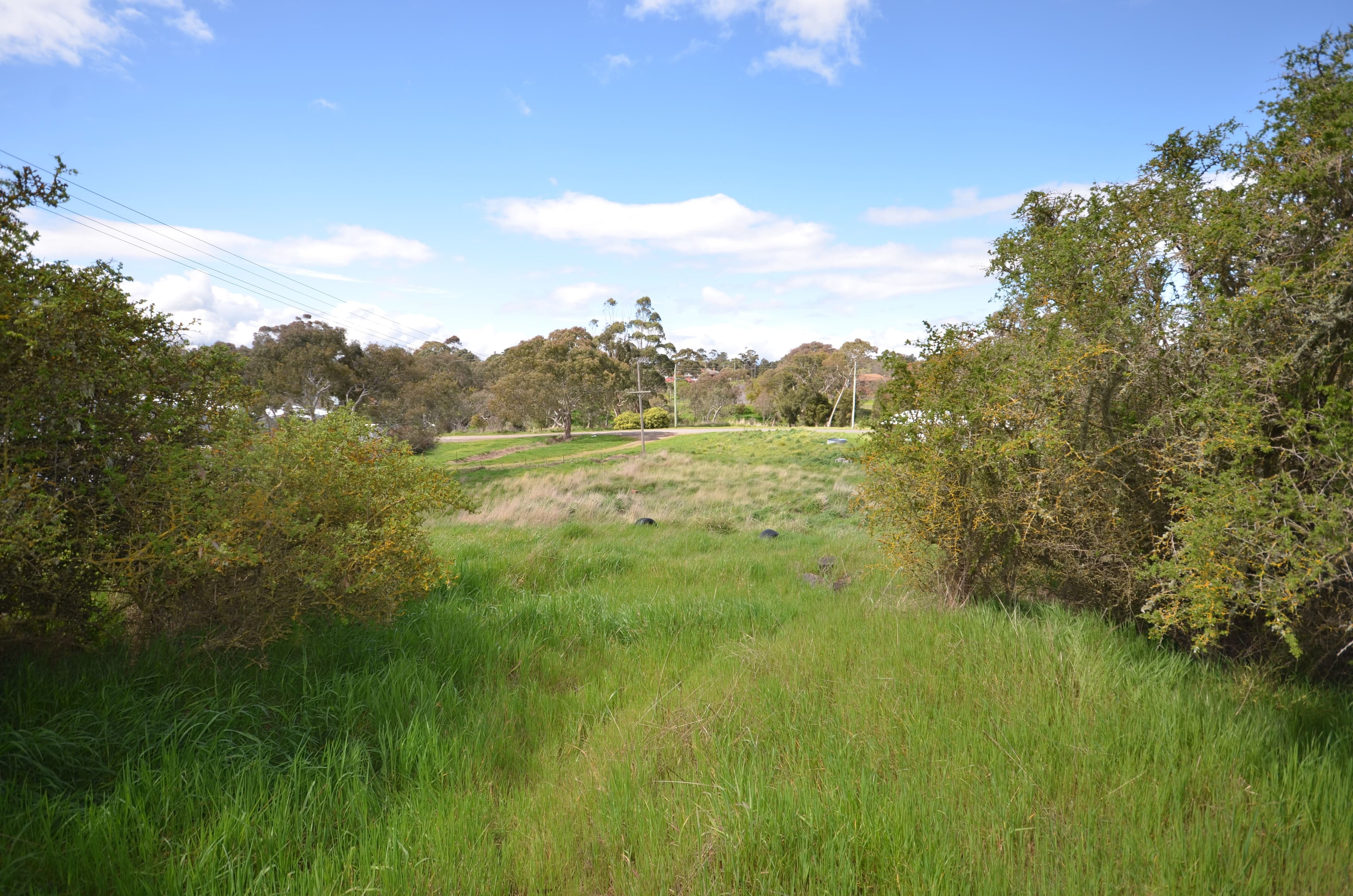 5 Cleveland Street, Skipton  Victoria  3361, Australia, Skipton - Thumbnail 5