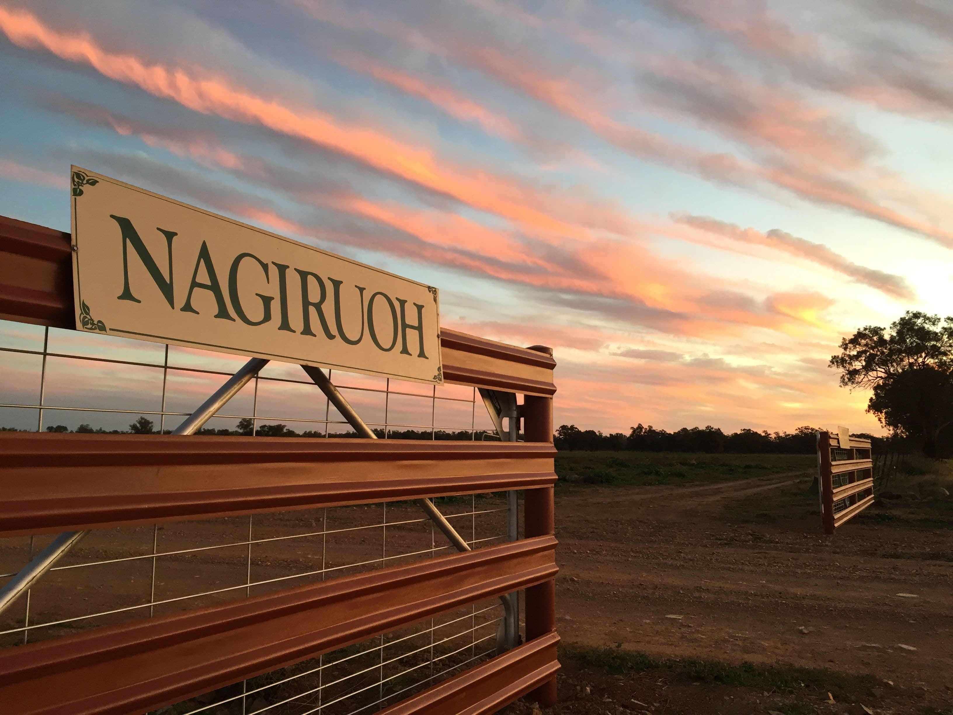 Nagiruoh 639 Kiacatoo Road, Condobolin NSW 2877, Condobolin - Thumbnail 2