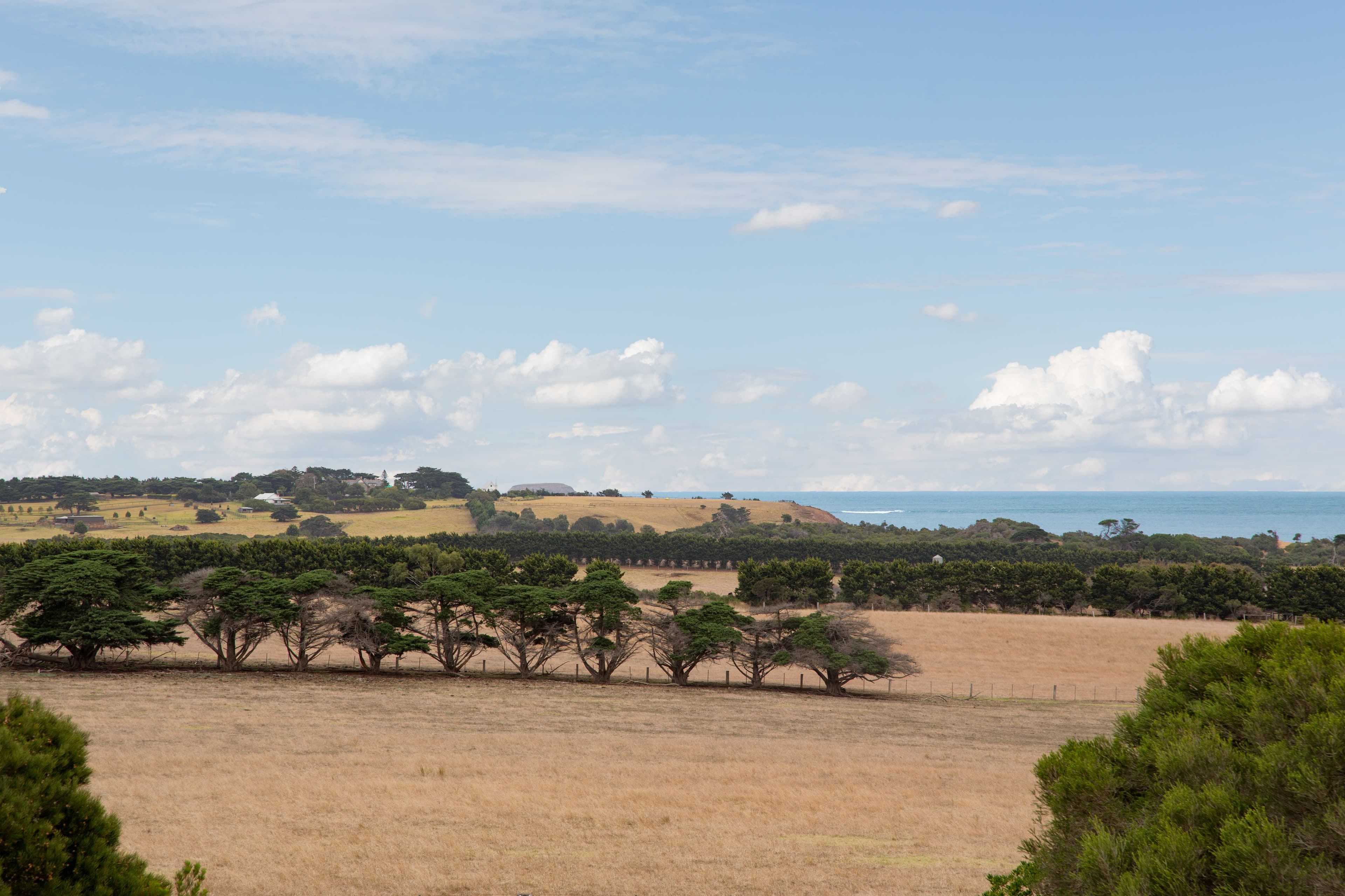 19 Bingley Crescent, Ventnor VIC 3922, Ventnor - Thumbnail 6
