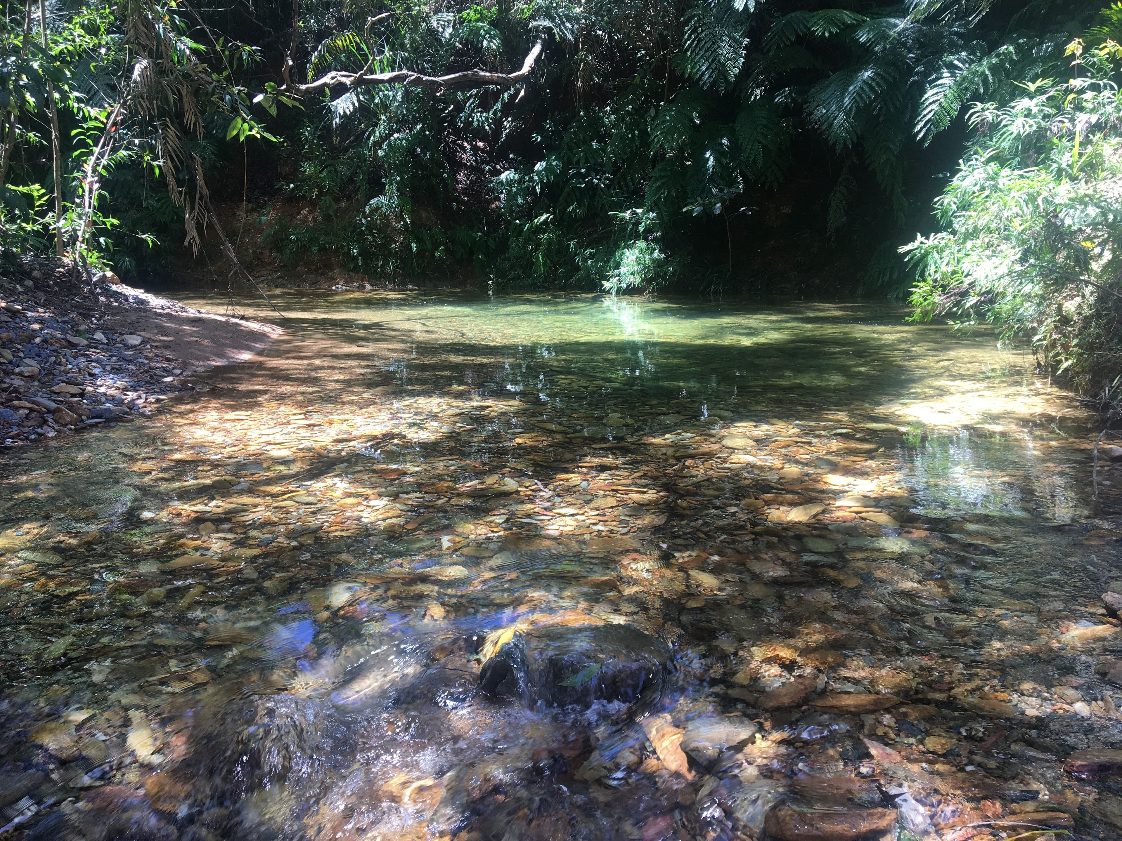 Lot 4 Forest Creek Road, Daintree, Forest Creek QLD 4873, Forest Creek - Thumbnail 2