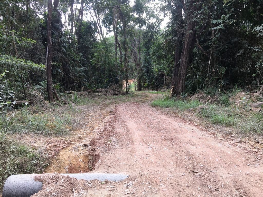 Lot 4 Forest Creek Road, Daintree, Forest Creek QLD 4873, Forest Creek - Thumbnail 6