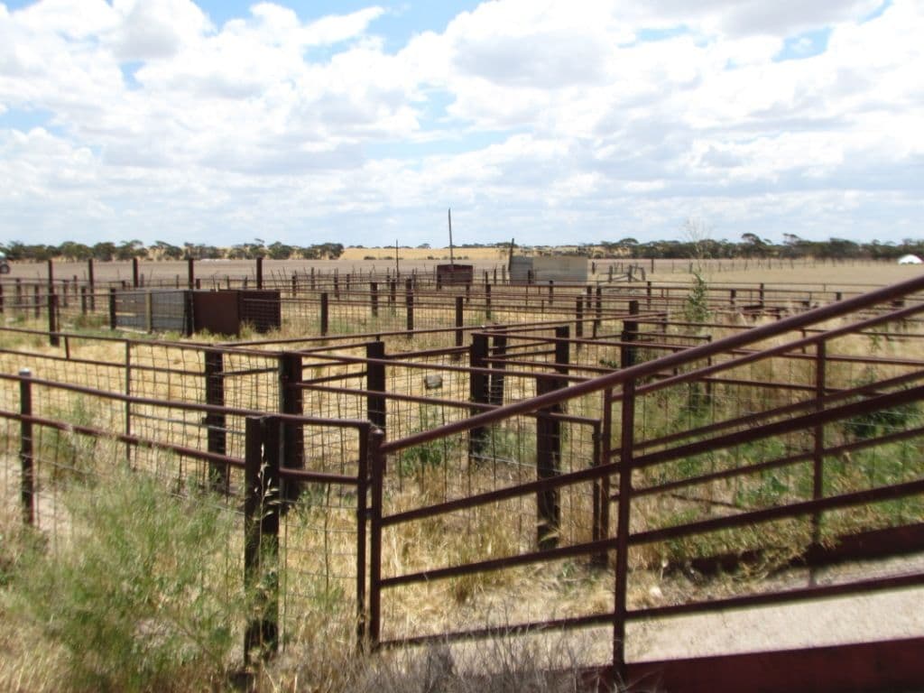 Salmon Gums WA 6445, Salmon Gums - Thumbnail 8