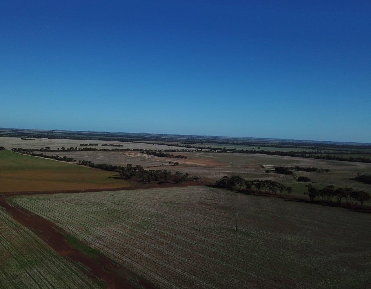 2244 Calzoni Road, Woolocutty WA 6369, Woolocutty - Thumbnail 5