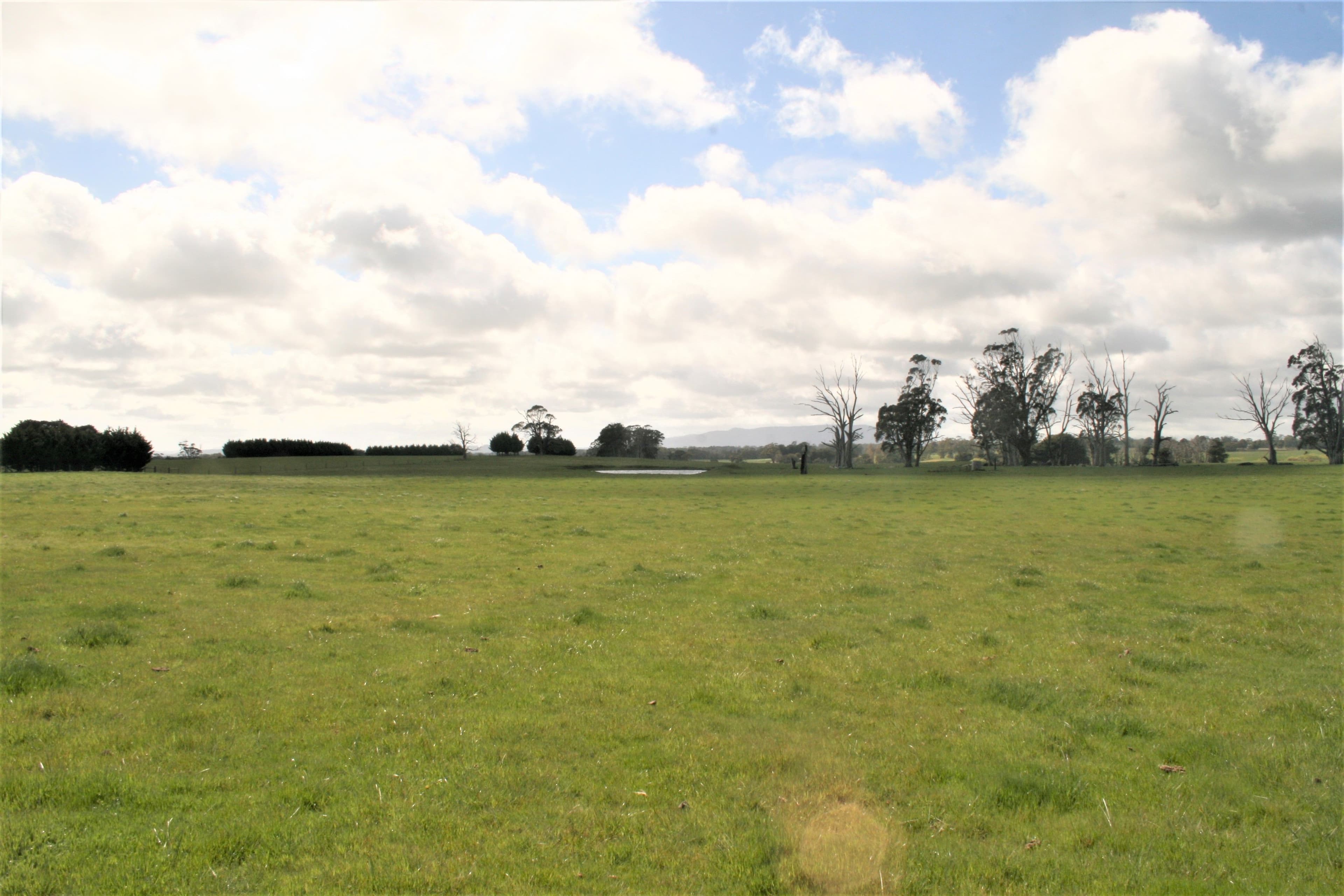 00 Trentham Road, Tylden VIC 3444, Tylden - Thumbnail 5