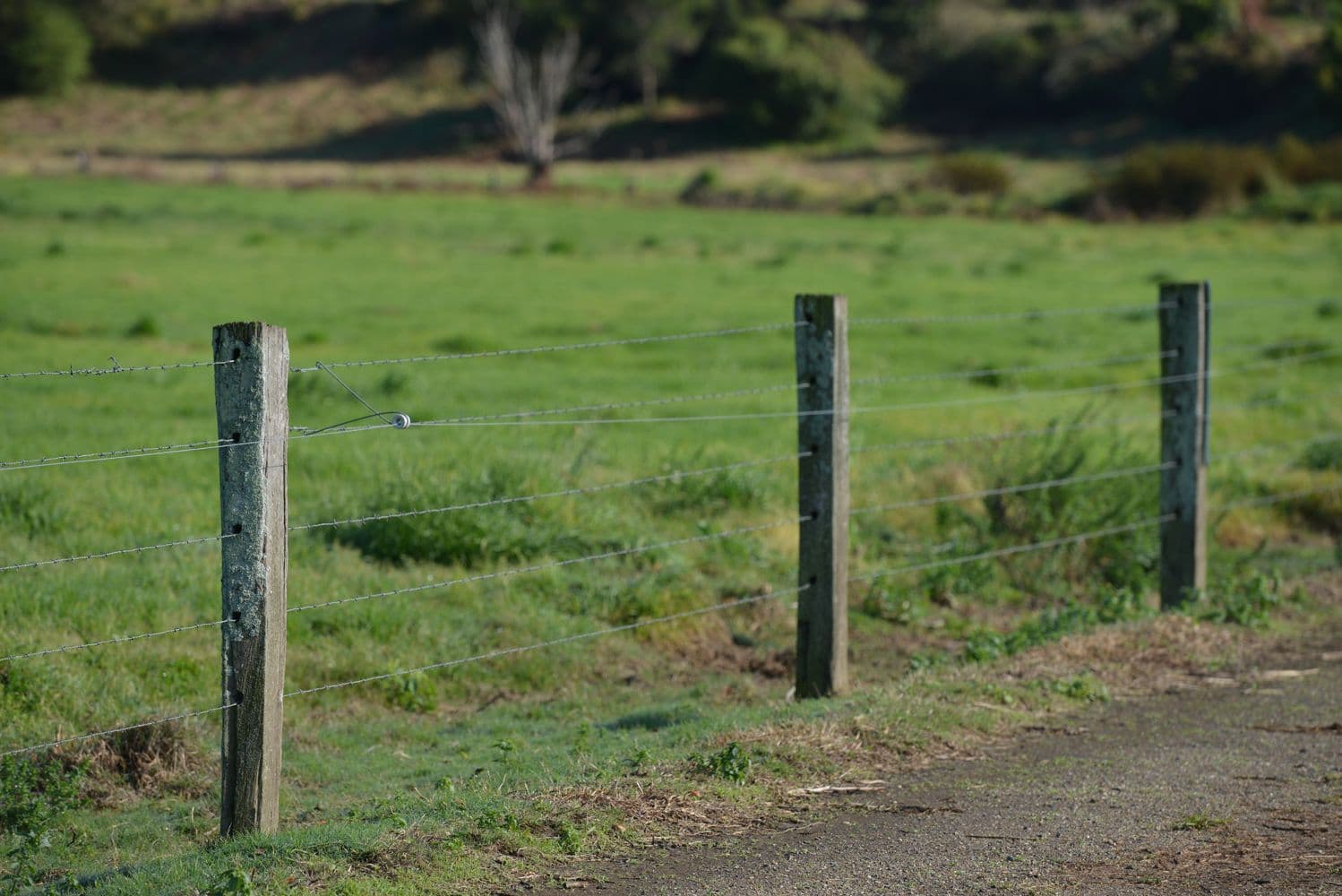 Raleigh NSW 2454, Raleigh - Thumbnail 4