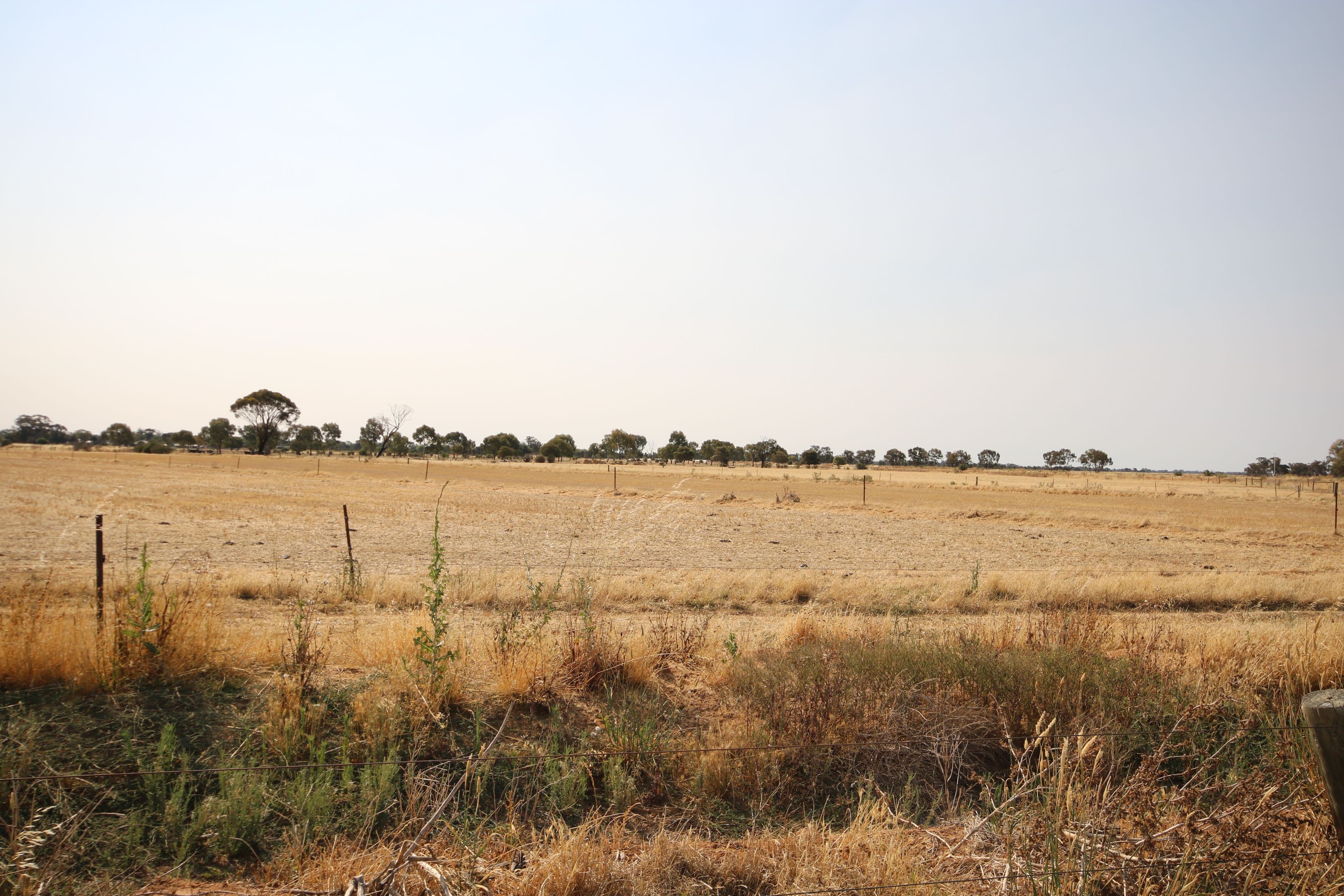 293 Hansen Road, Ballendella VIC 3561, Ballendella - Thumbnail 7