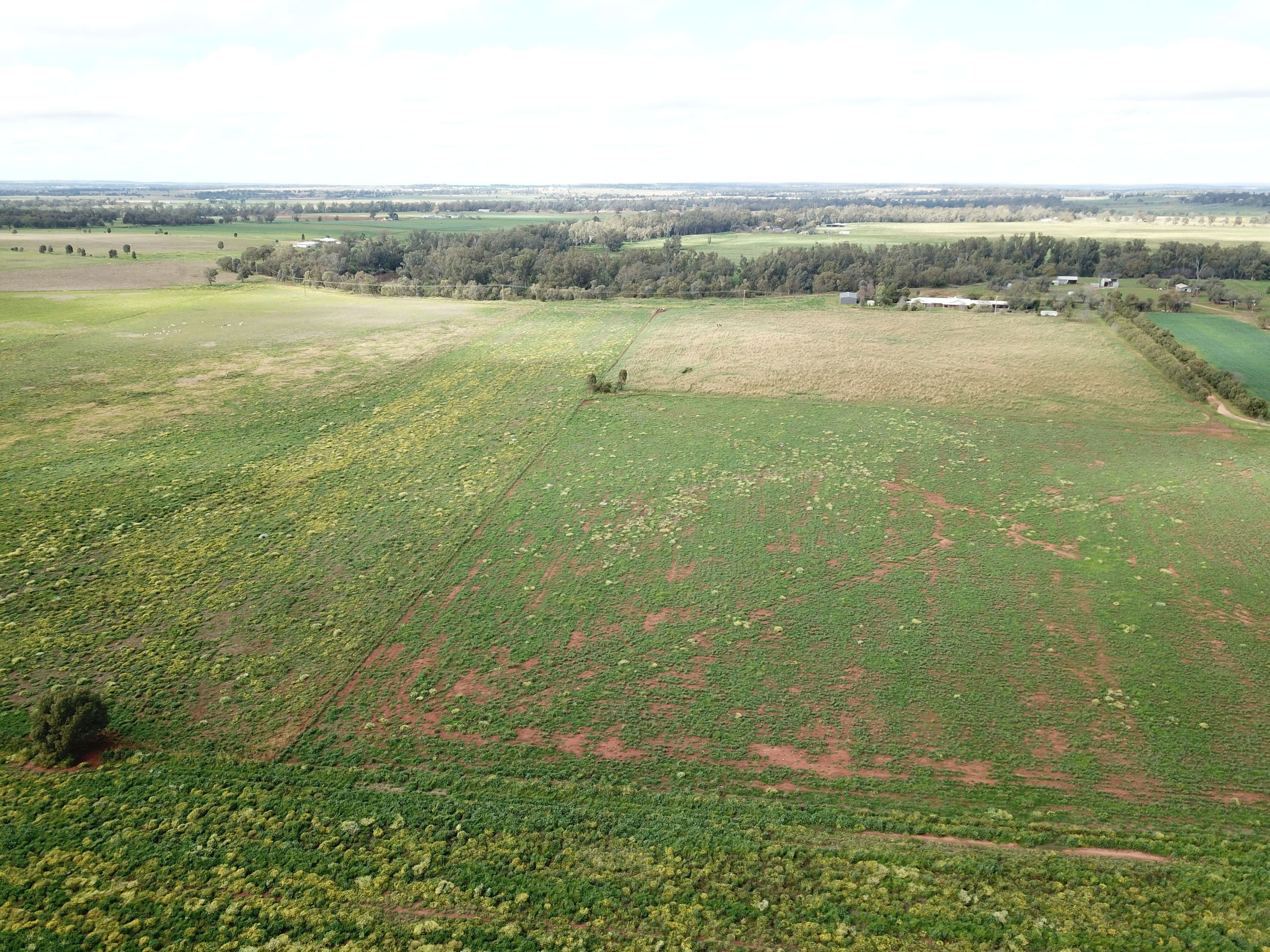 'Redbank' 102L Burraway Road, Terramungamine NSW 2830, Terramungamine - Thumbnail 4