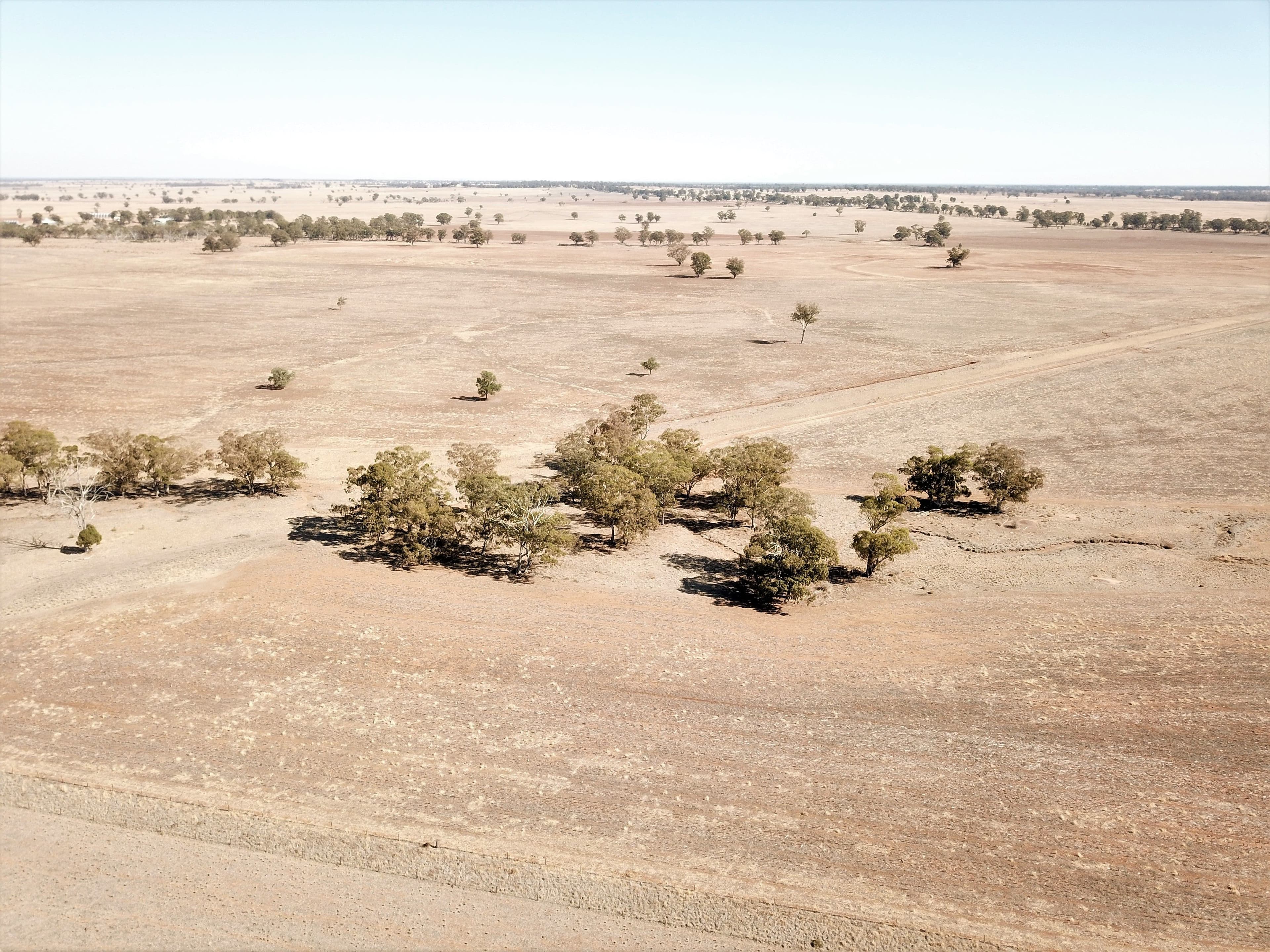 'Balgowan' Newell Highway, Dubbo NSW 2830, Dubbo - Thumbnail 4