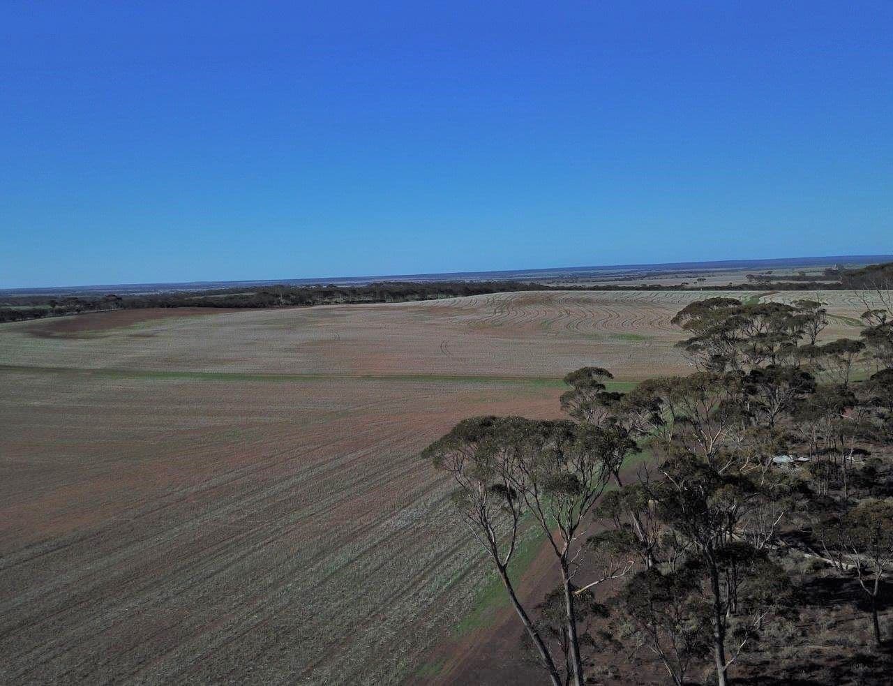 2244 Calzoni Road, Woolocutty WA 6369, Woolocutty - Thumbnail 8