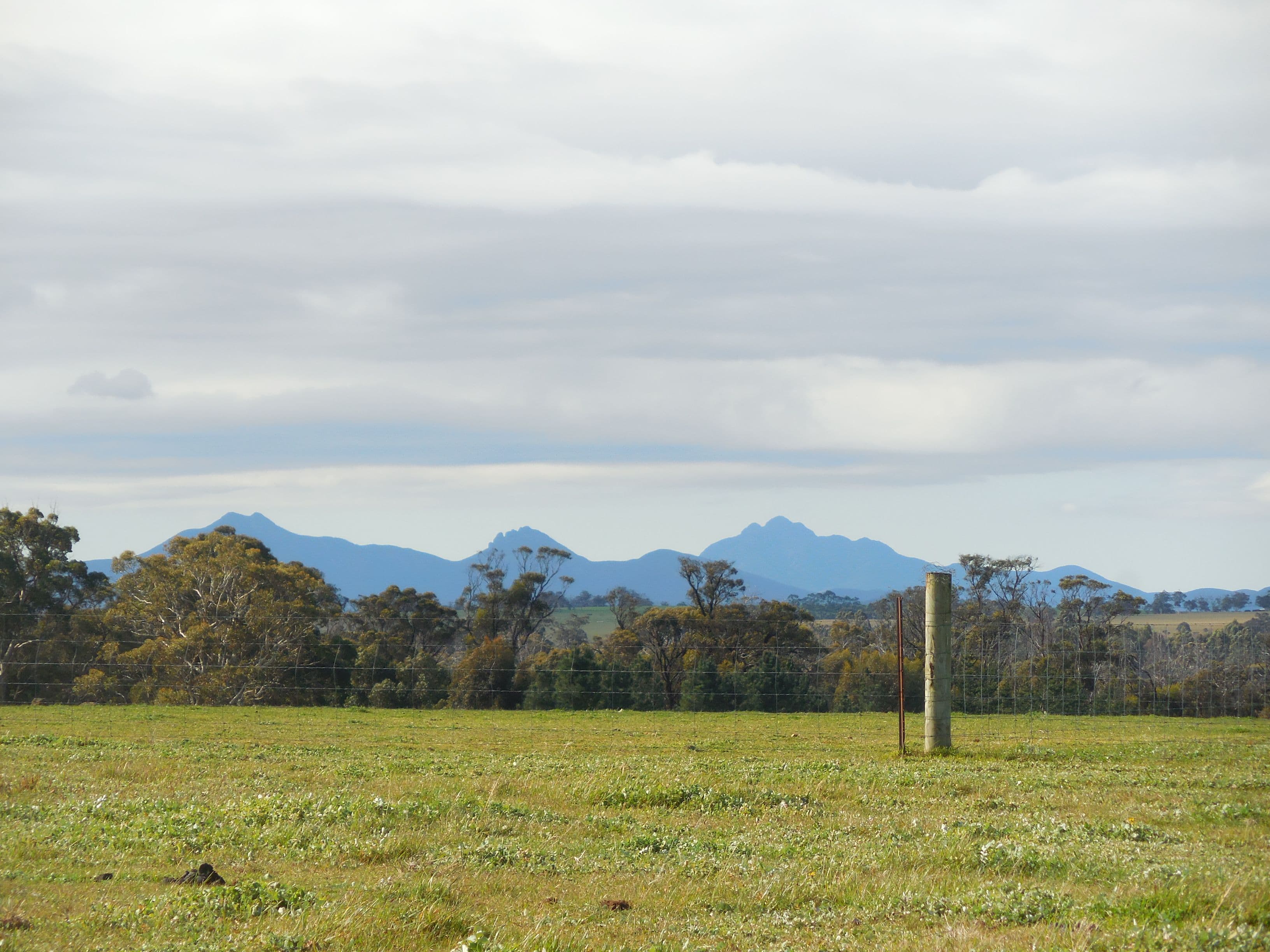 883 Collins Road, Kendenup WA 6323, Kendenup - Thumbnail 2