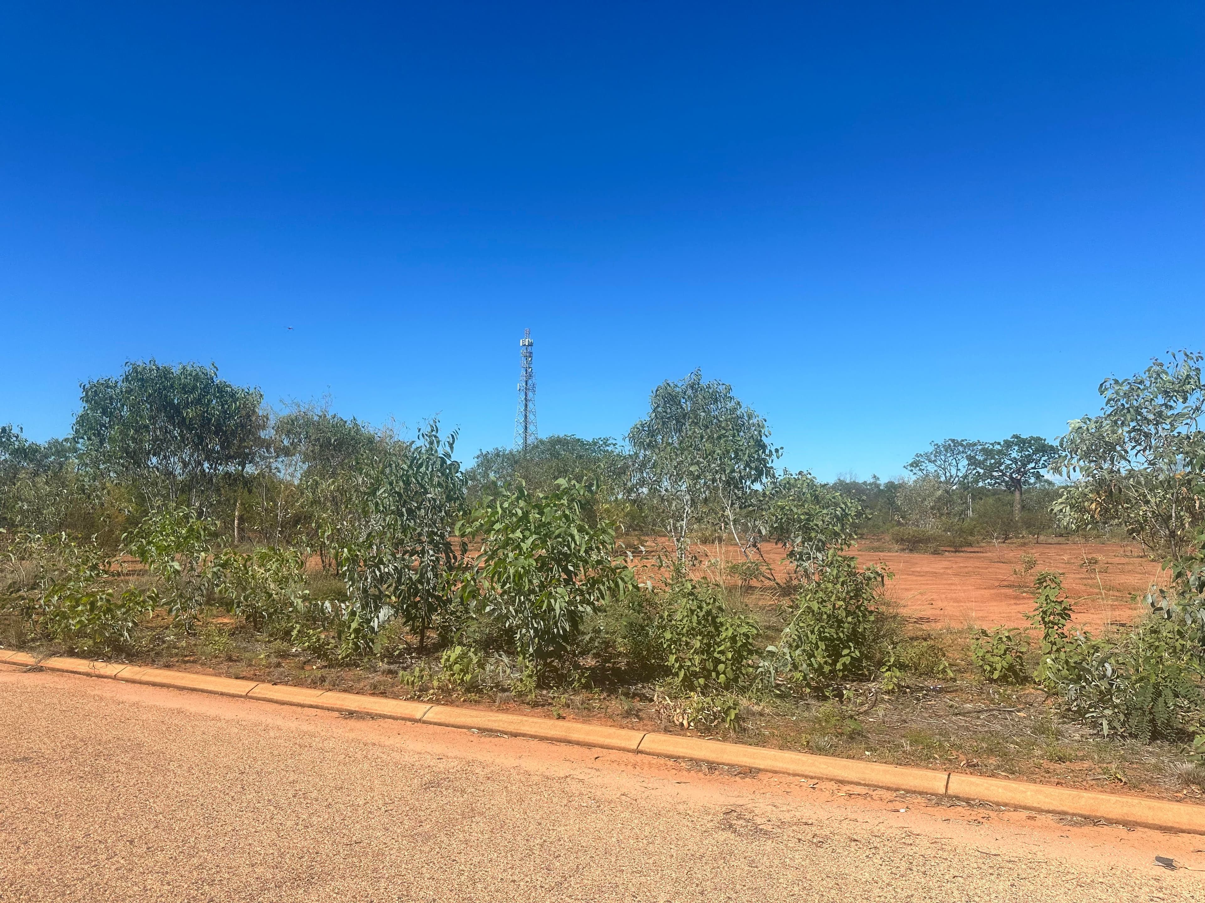 11 Dollarbird Street, Derby WA 6728, Derby - Image 1