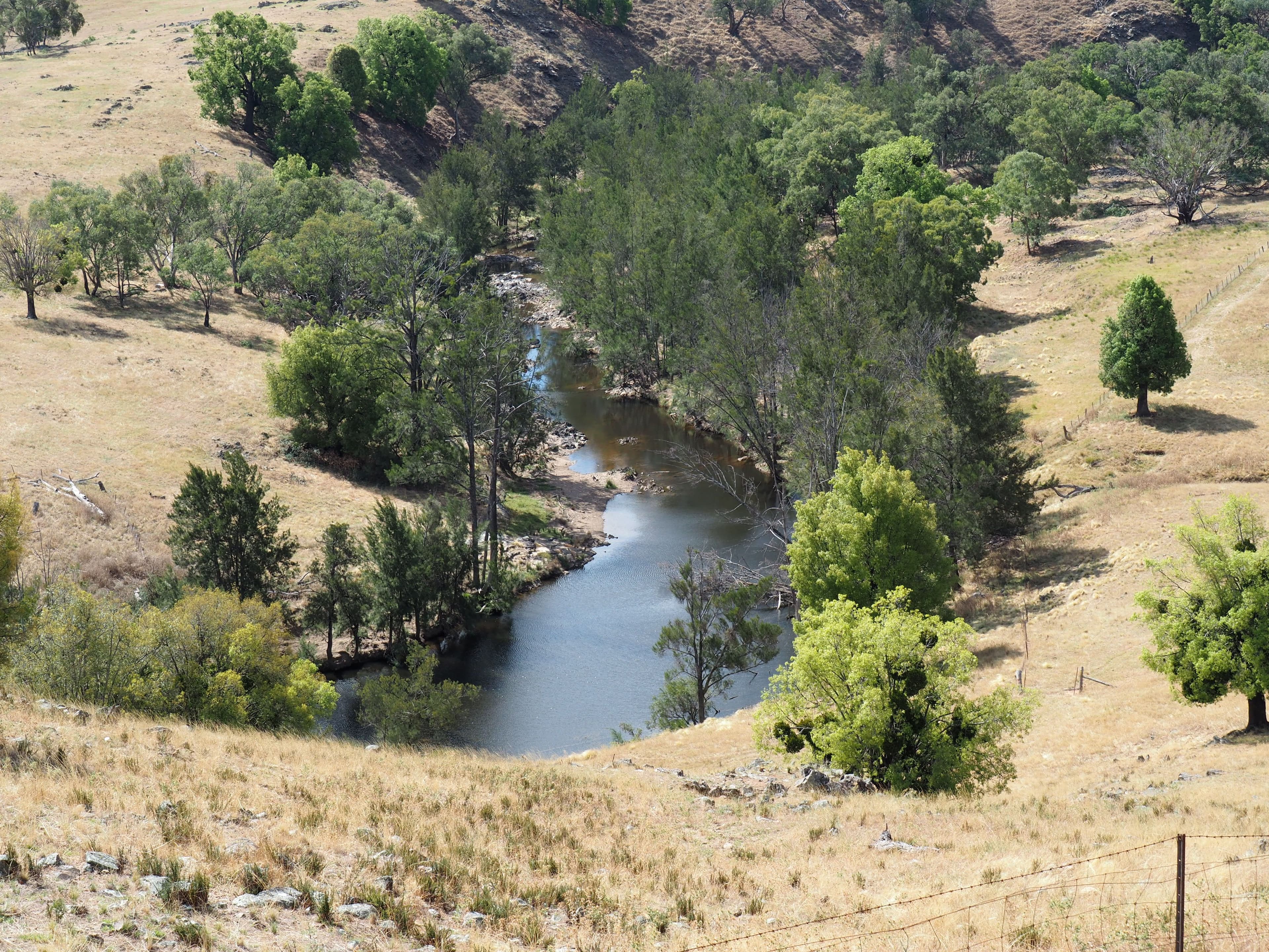 Tambaroora NSW 2795, Tambaroora - Thumbnail 5