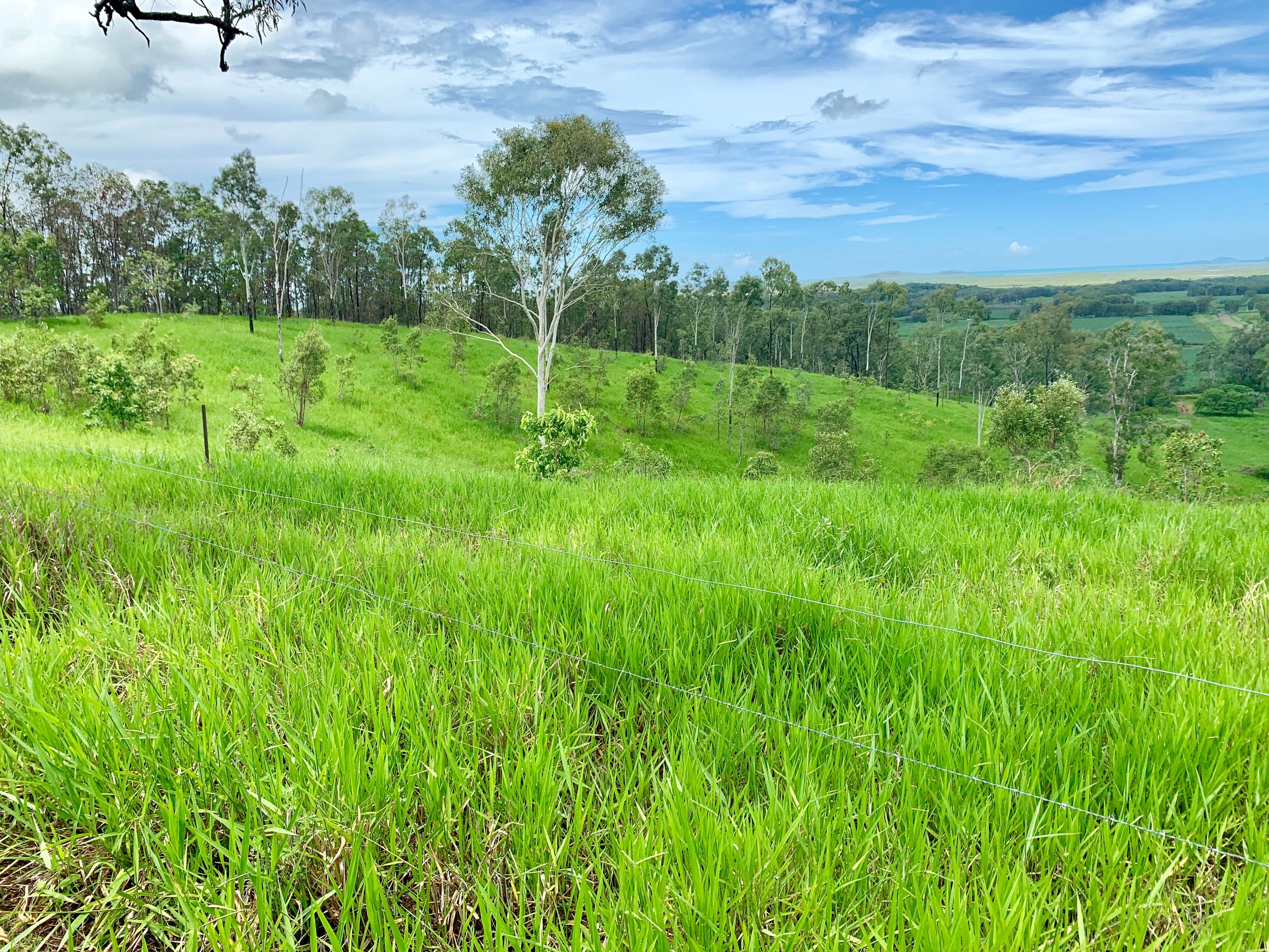 70 Muller Roads, Sarina QLD 4737, Sarina - Thumbnail 6