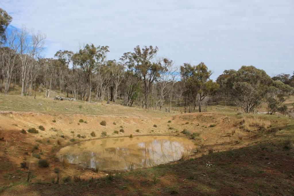Lot 4 New England Highway, The Glen QLD 4370, The Glen - Thumbnail 8