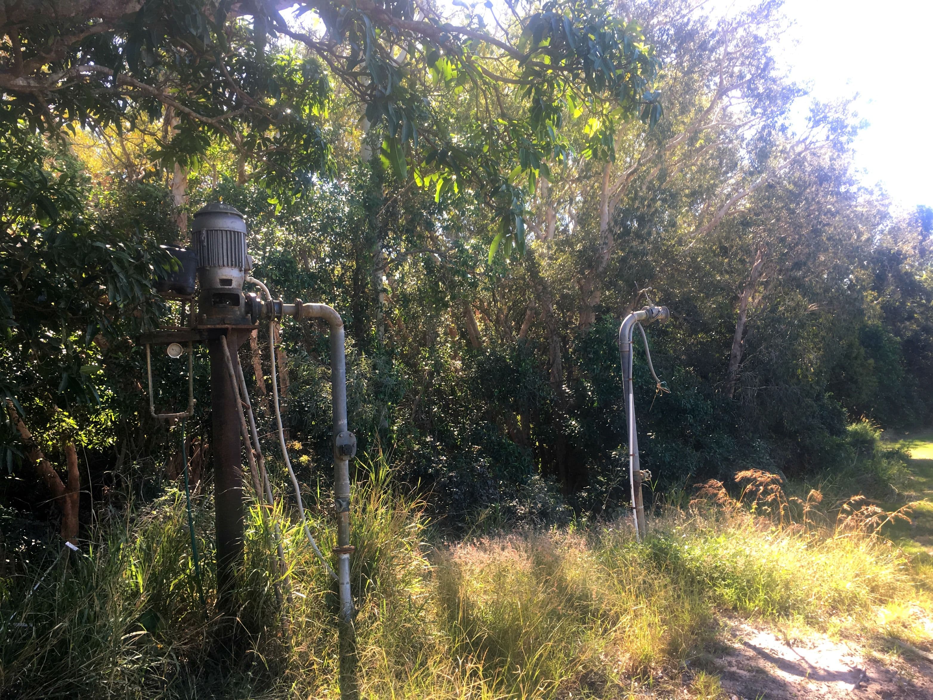 507 Eton Homebush Road, Oakenden QLD 4741, Oakenden - Thumbnail 7