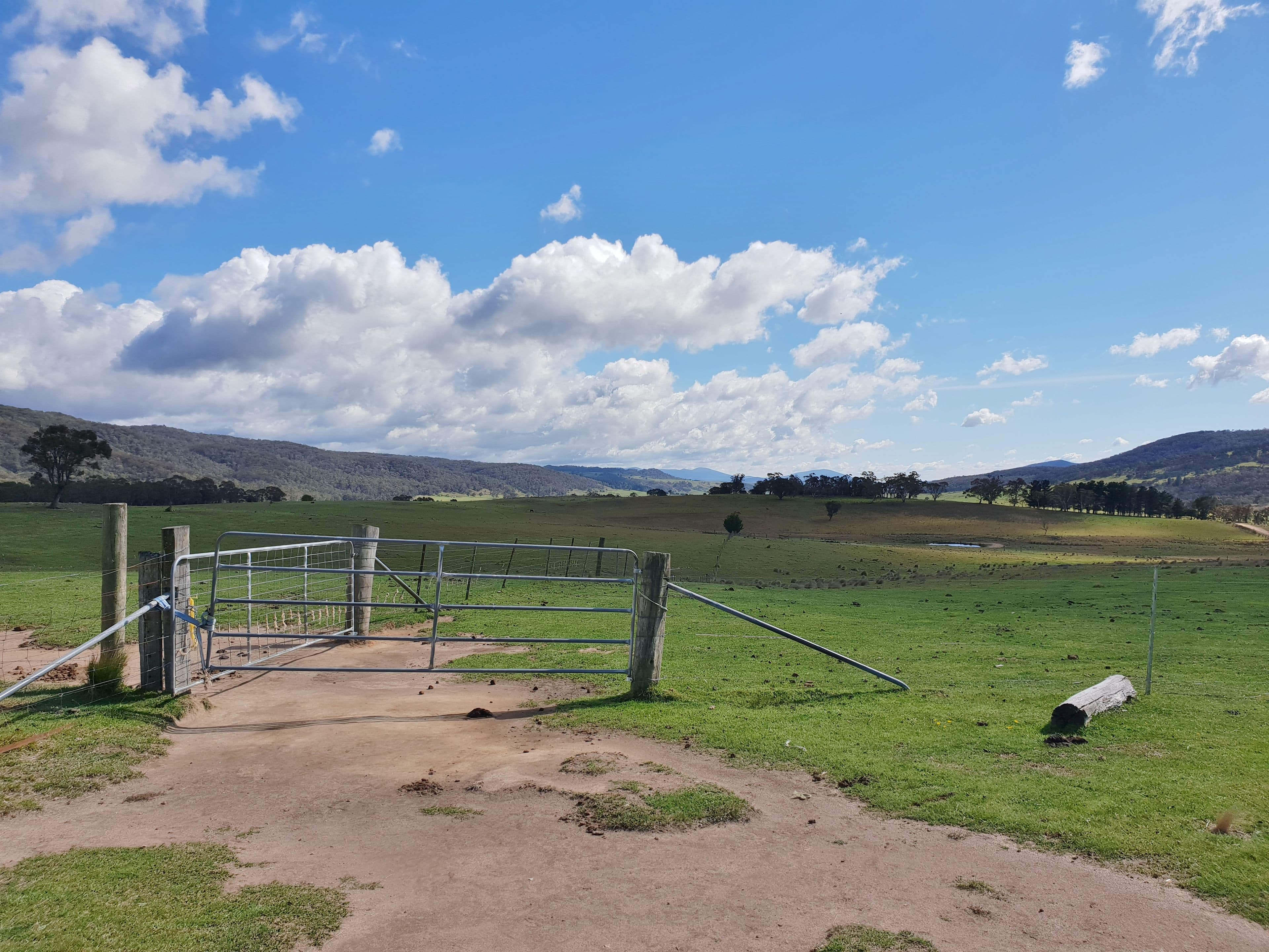 111 Hereford Hall Road, Hereford Hall, Braidwood NSW 2622, Braidwood - Thumbnail 4
