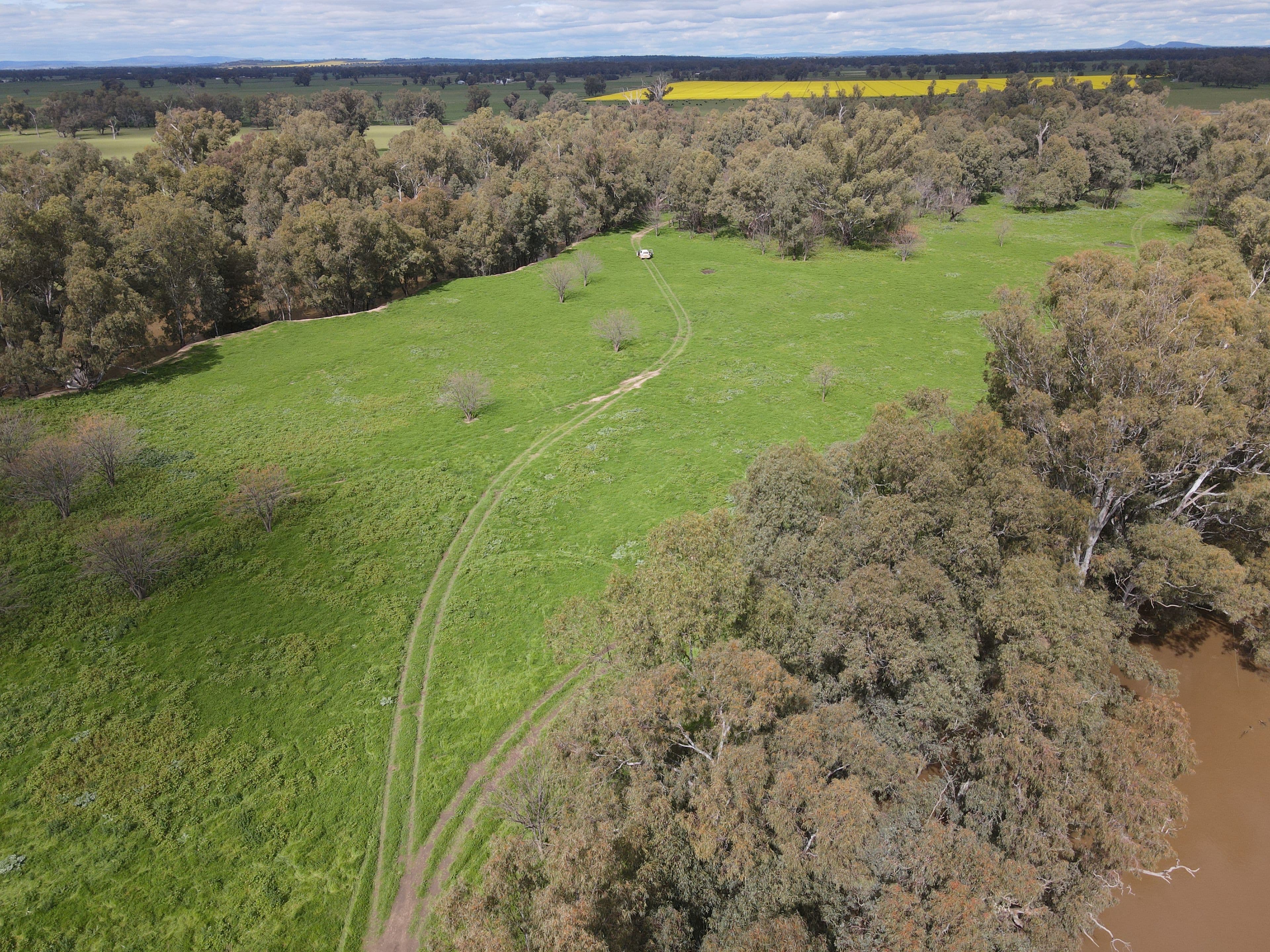 Bullock Paddock  The Escort Way, Forbes NSW 2871, Forbes - Thumbnail 4