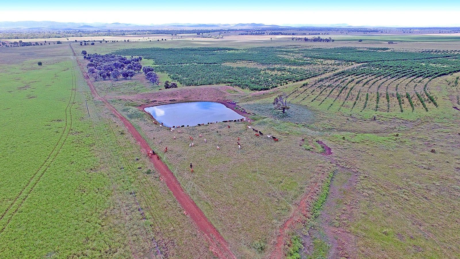 "Comanche"1820 Comanche Road, Glenroy QLD 4702, Glenroy - Thumbnail 3